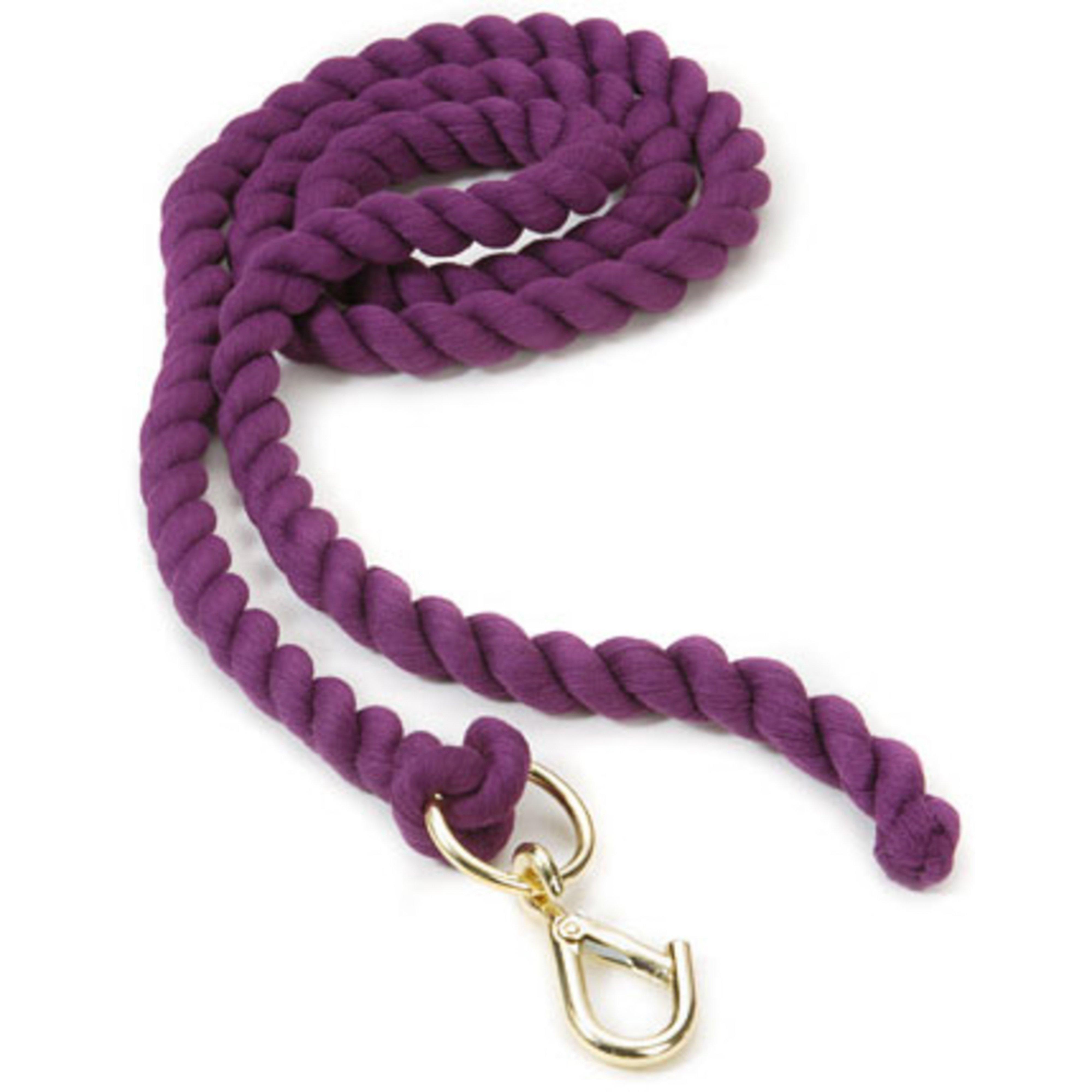 Plain Lead Rope