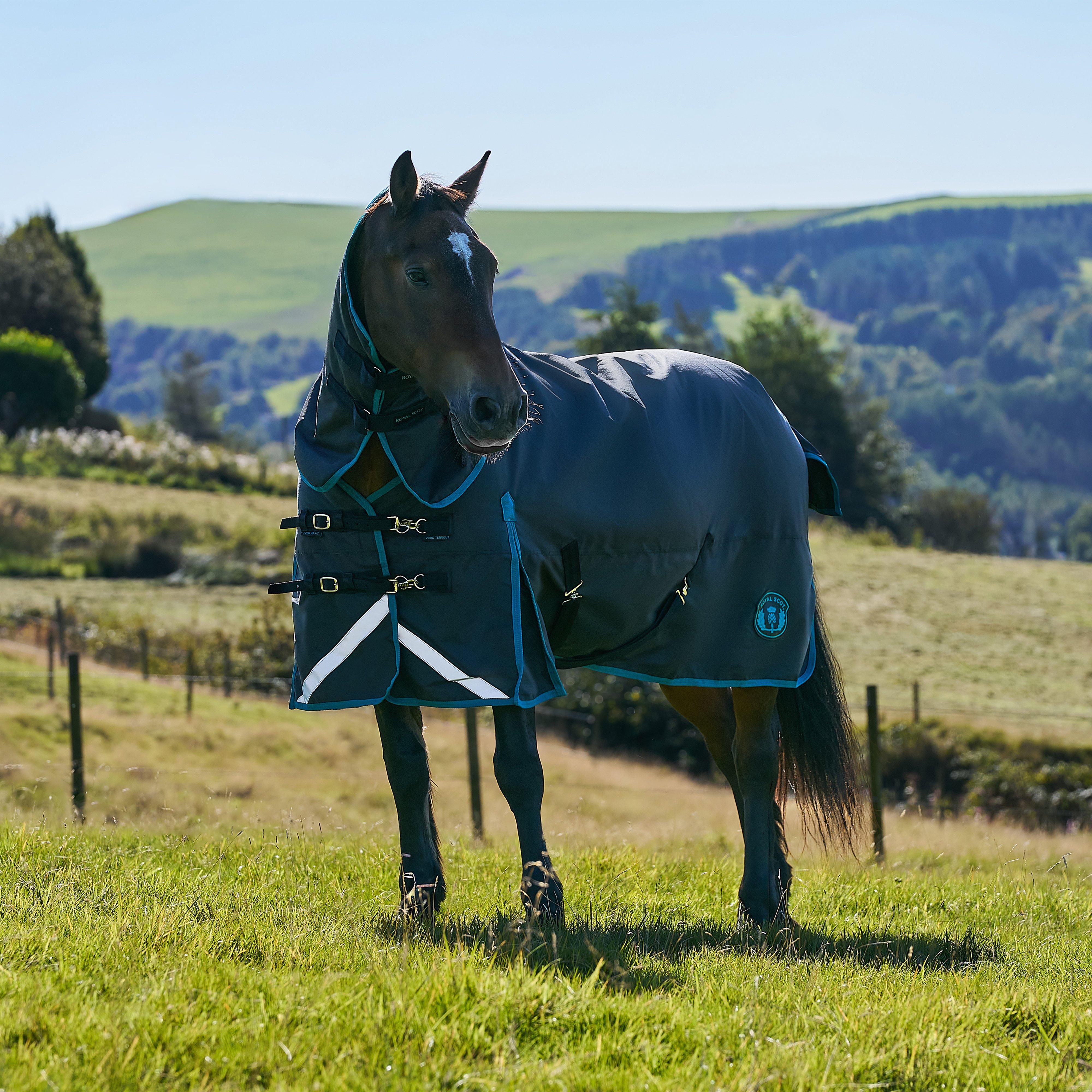 Original 200g Light-Medium Combo Neck Turnout Rug