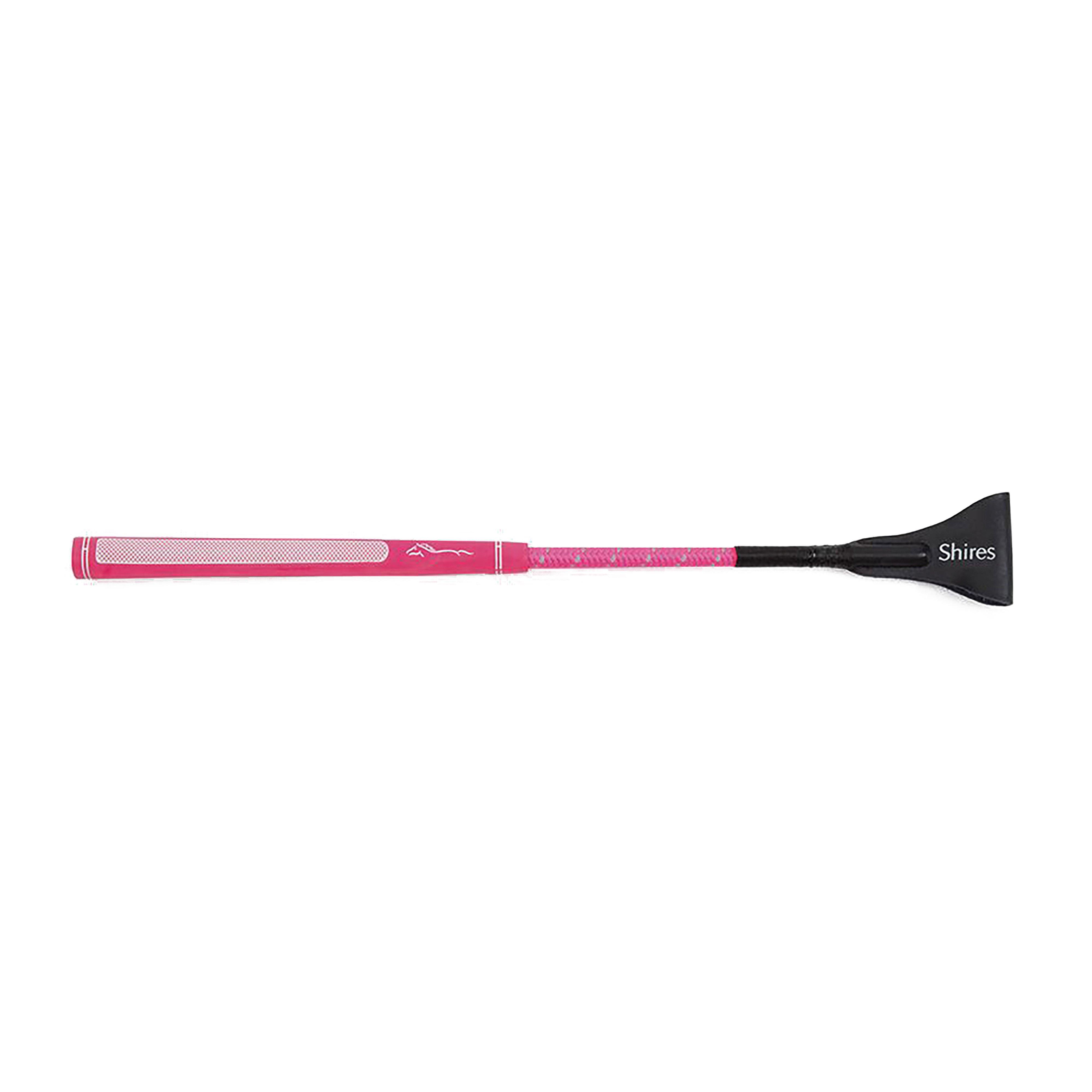 Rainbow Jumping Bat