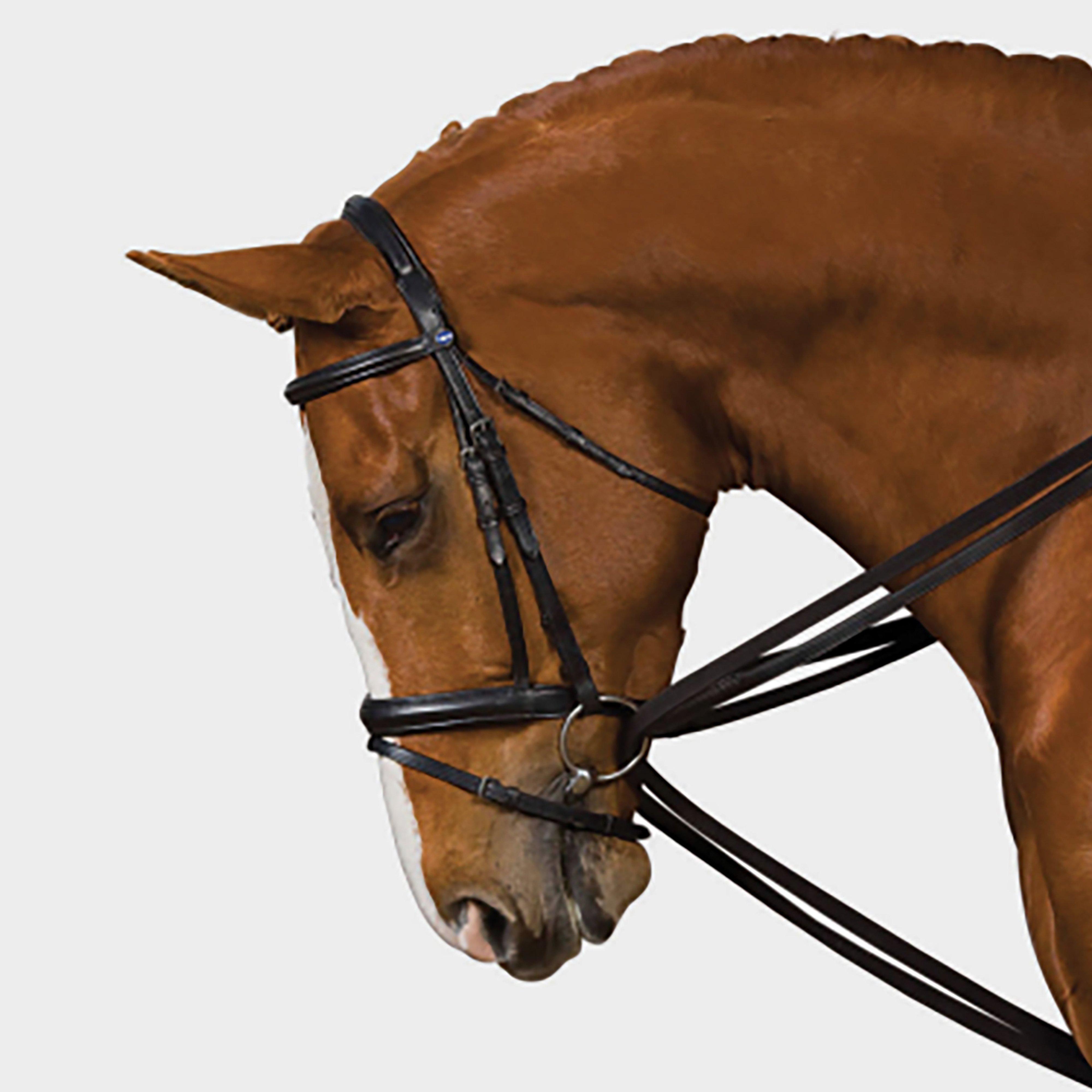 Web Draw Reins Set