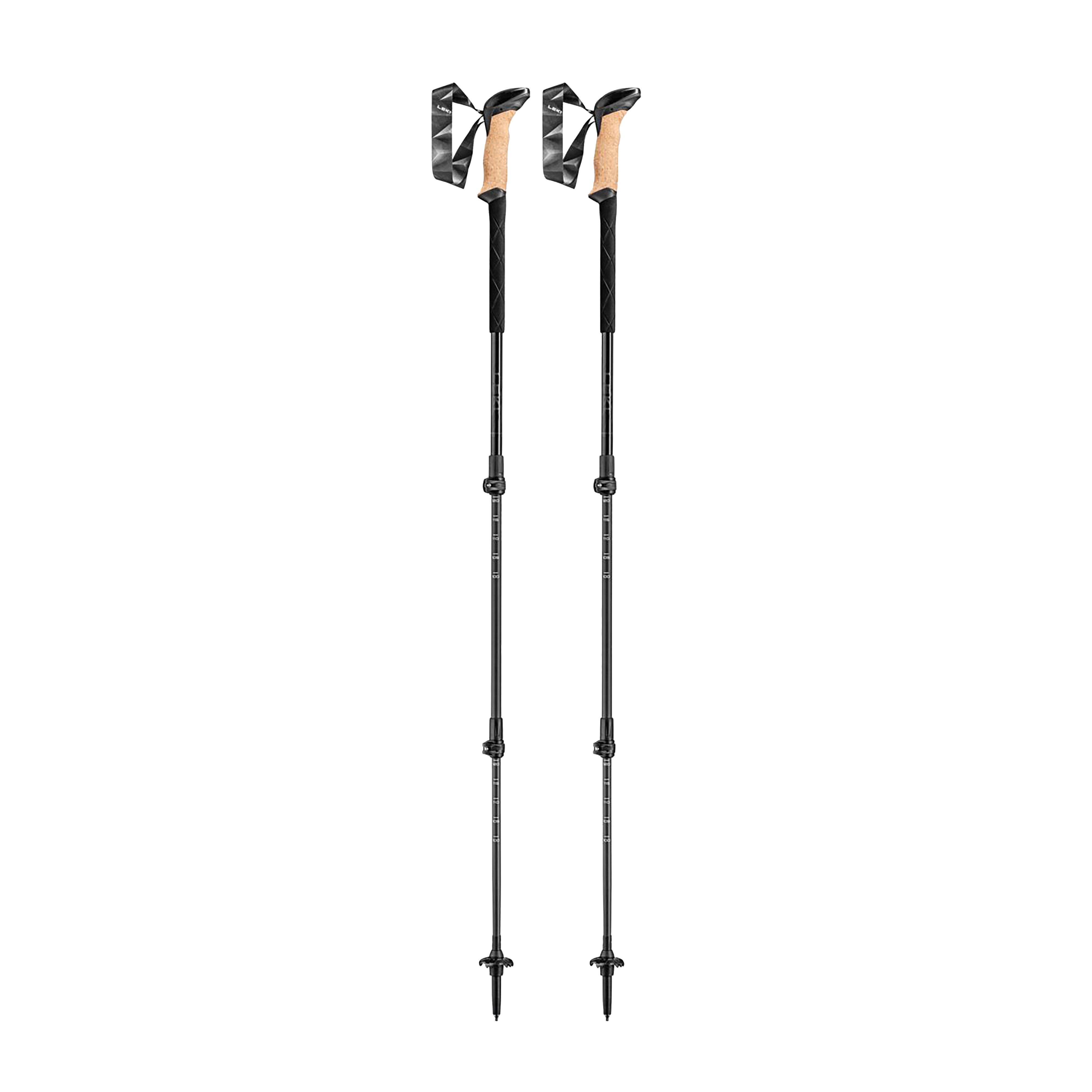 Black Series Carbon Walking Poles