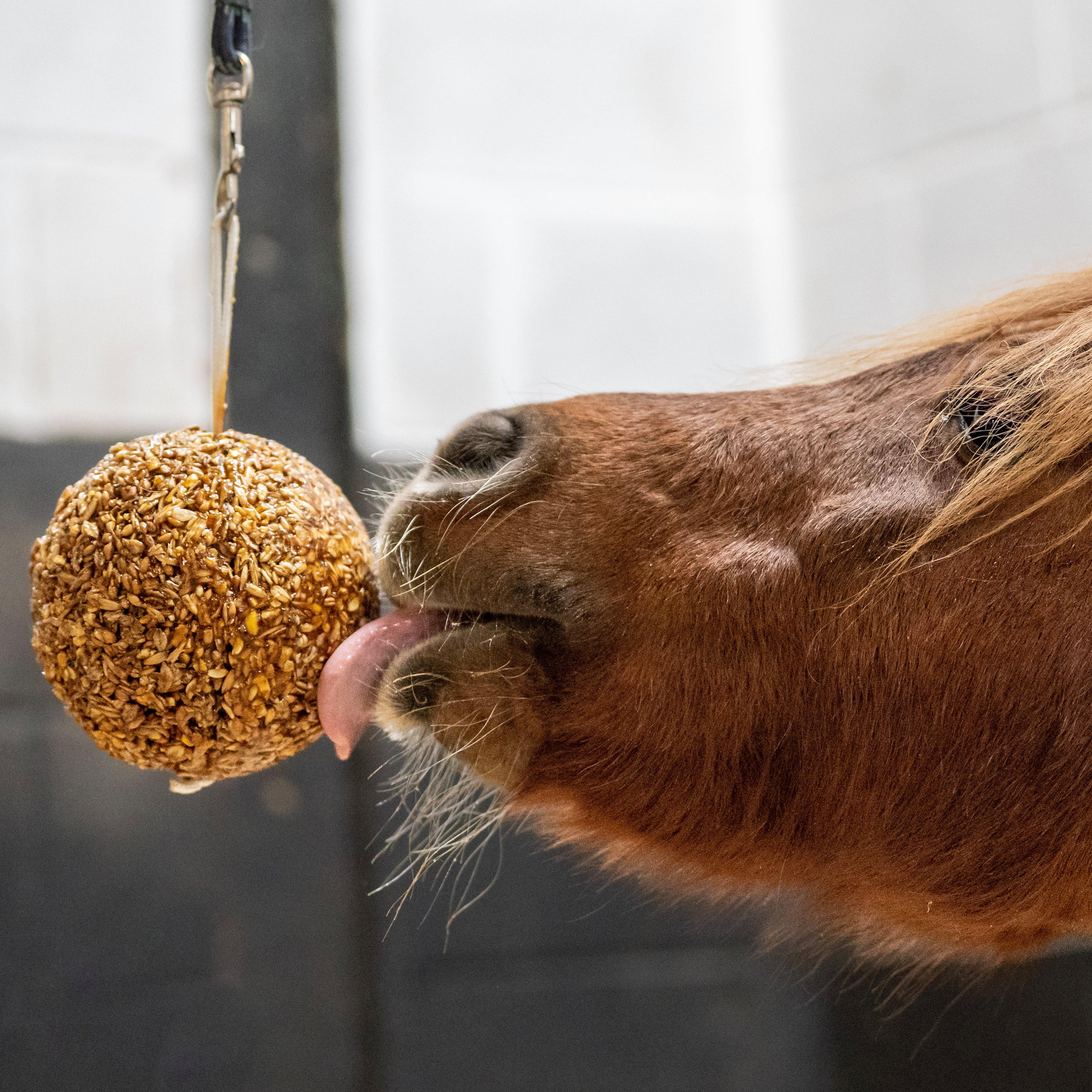 Granola Stall-Ball Peppermint