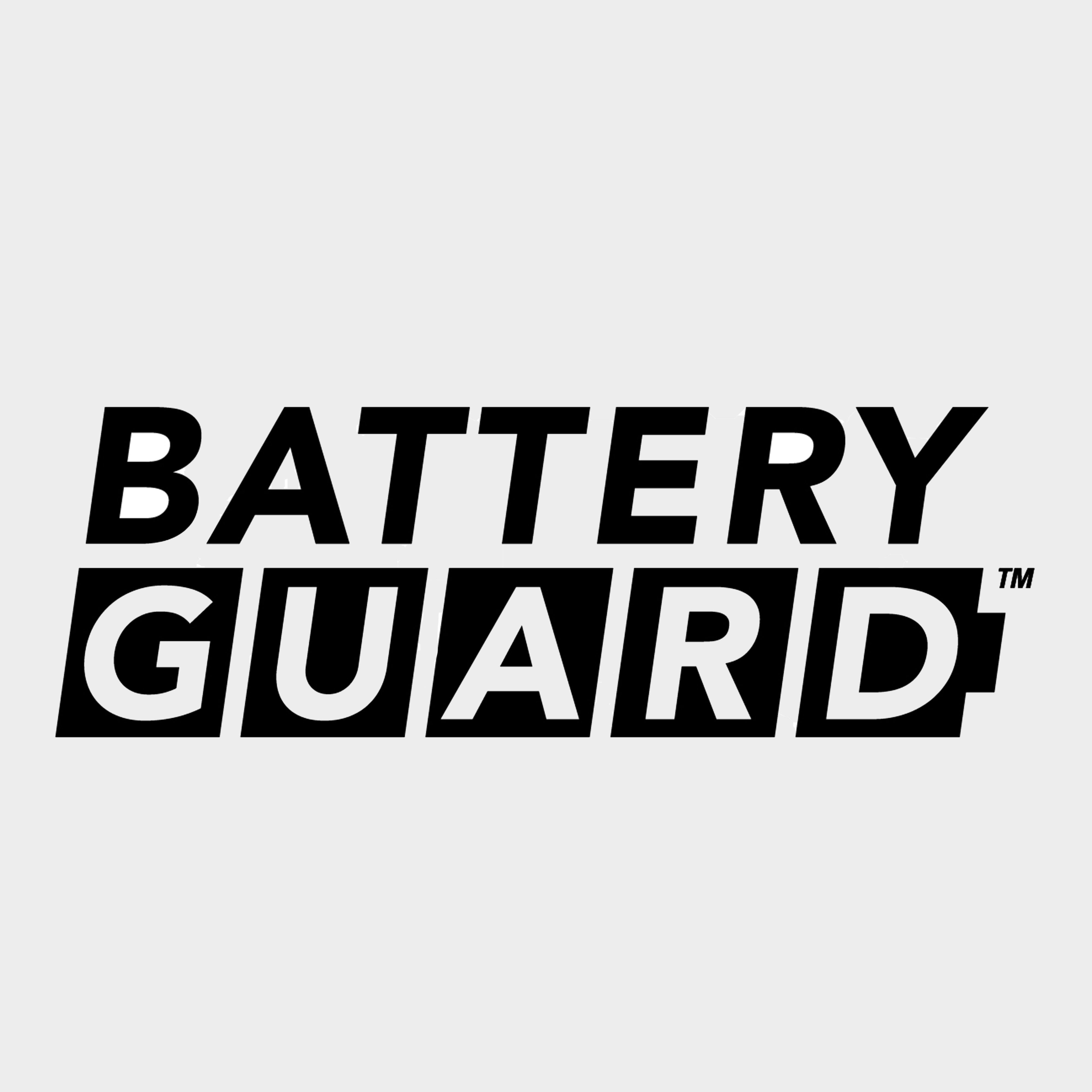 BatteryGuard 600L Lantern