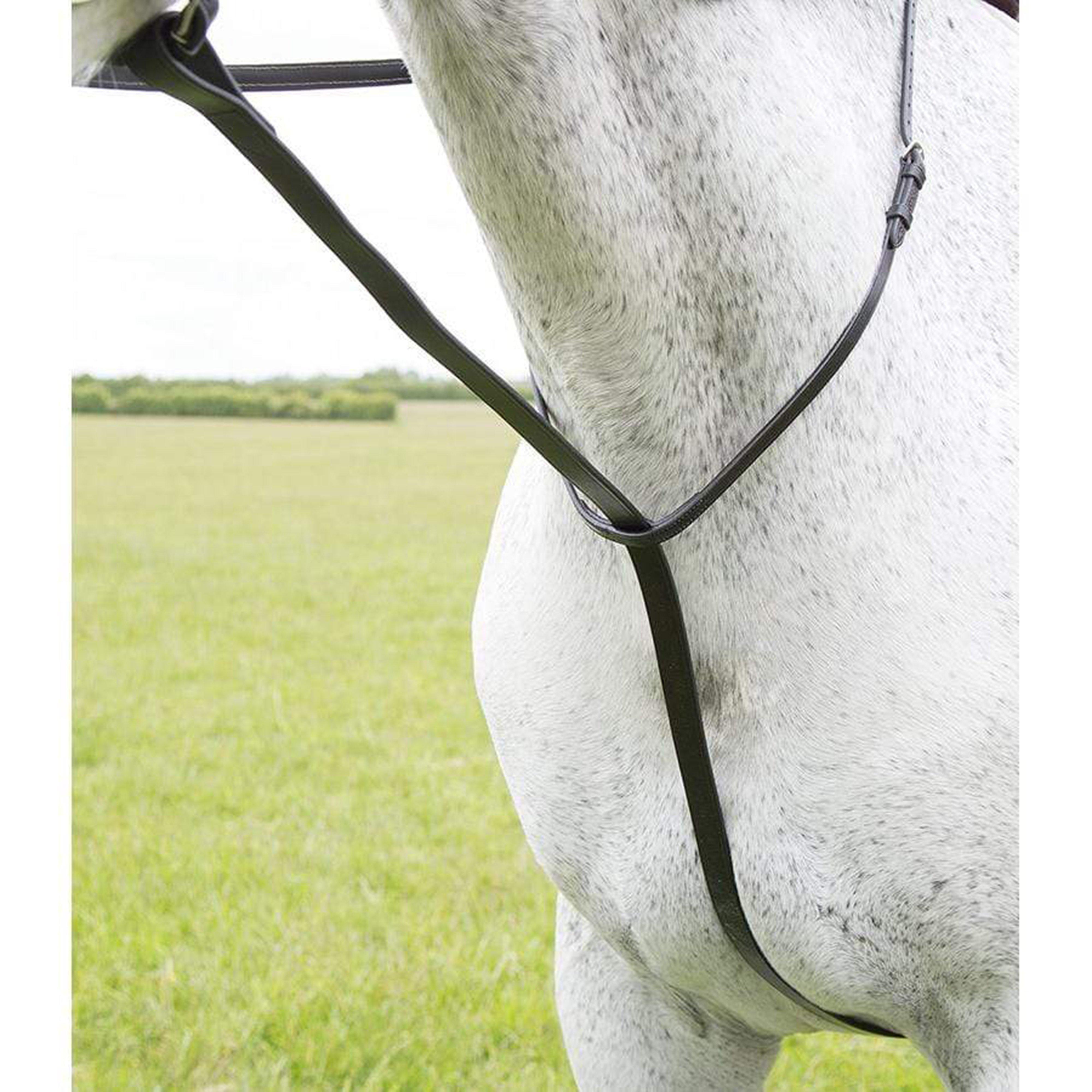Standing Martingale