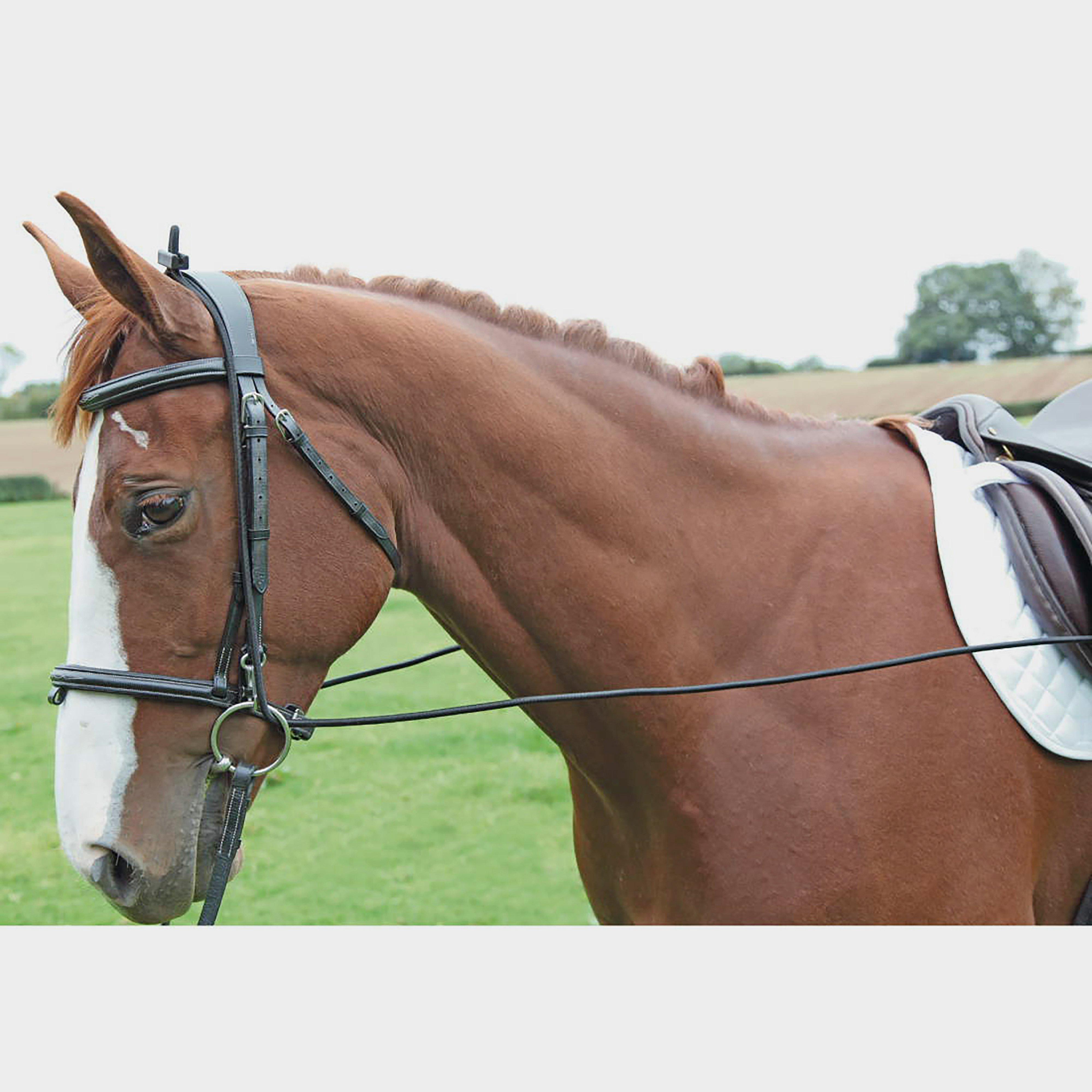 Elastic Bungee Reins