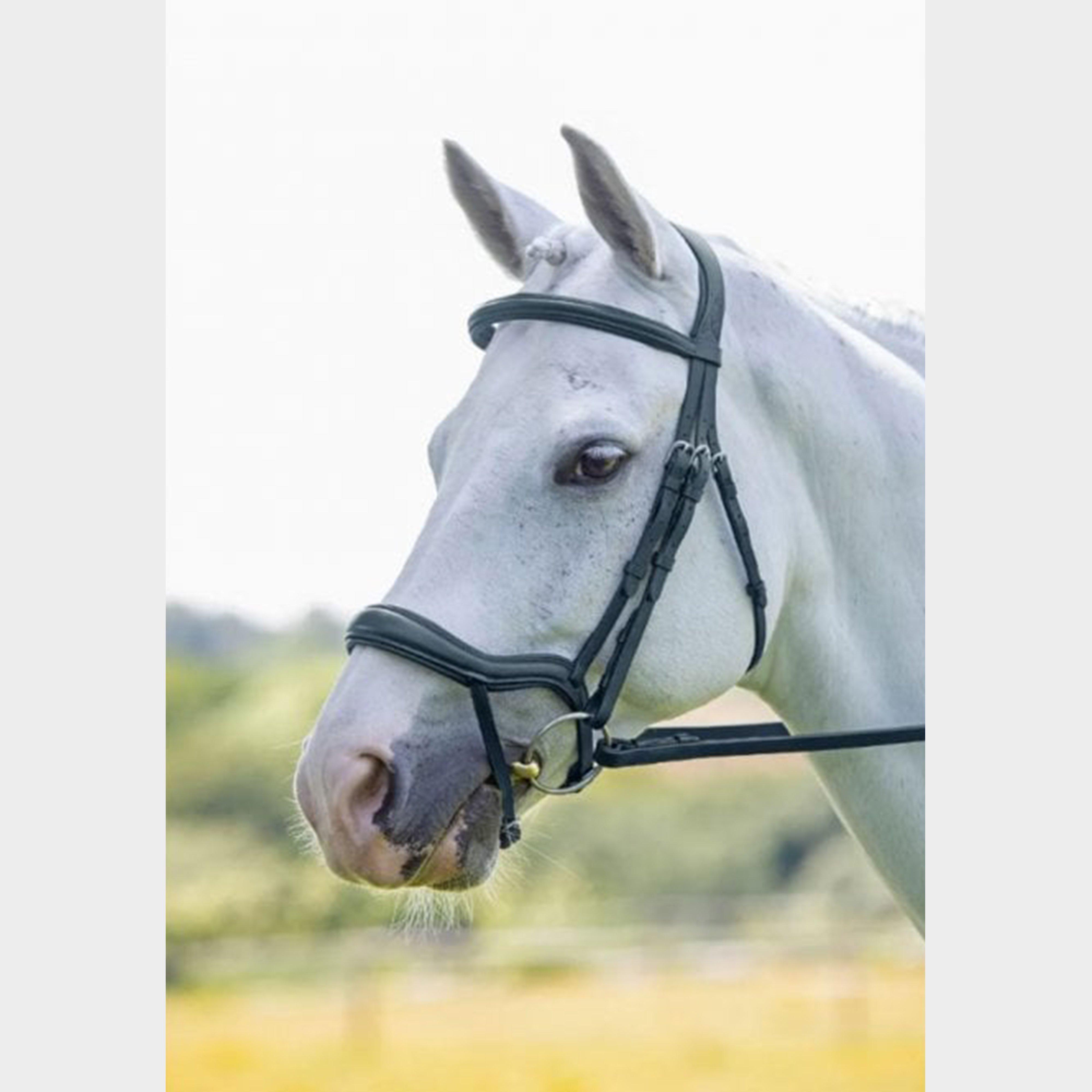 Velociti Ergonomic Flash Bridle Black