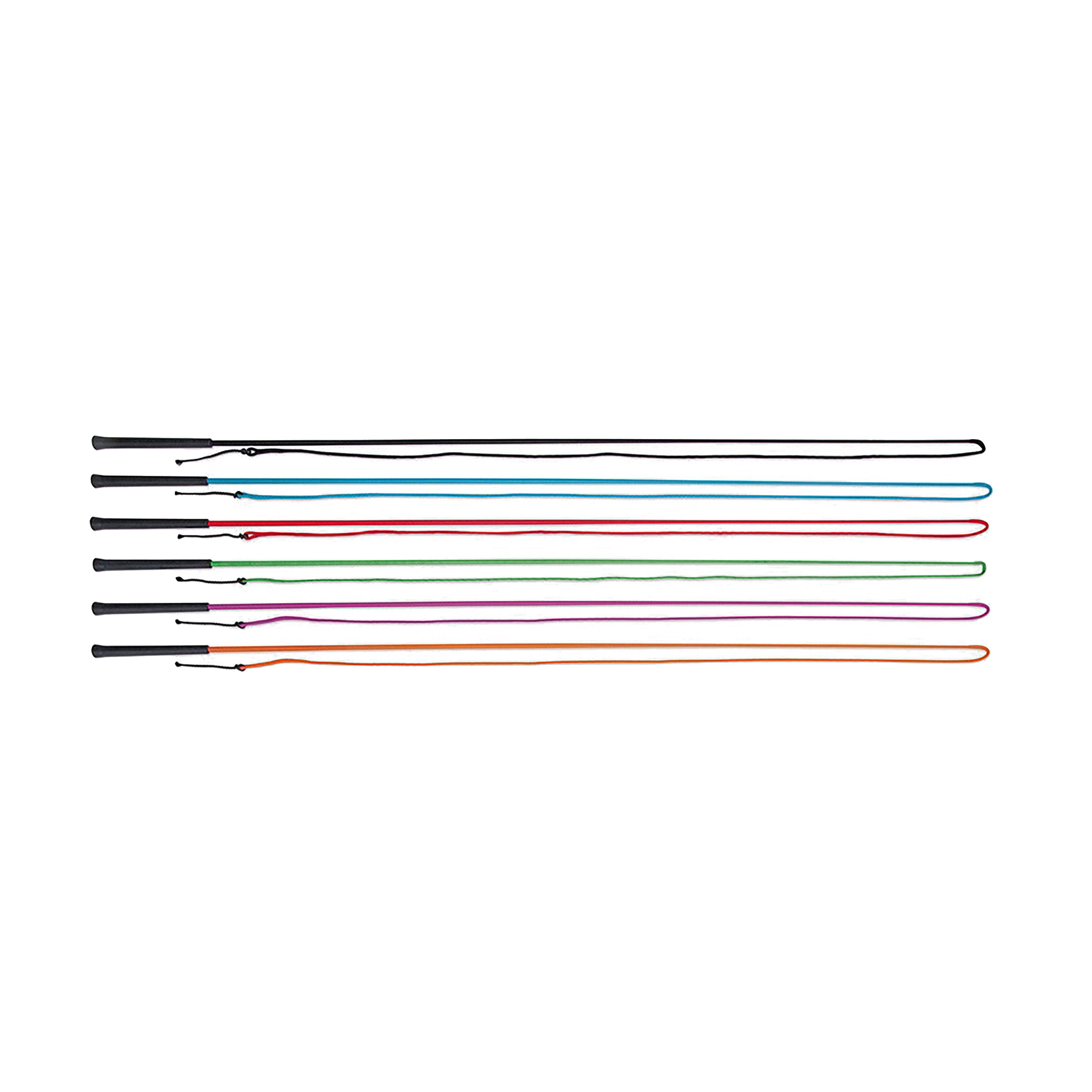 Lunging Whip Red
