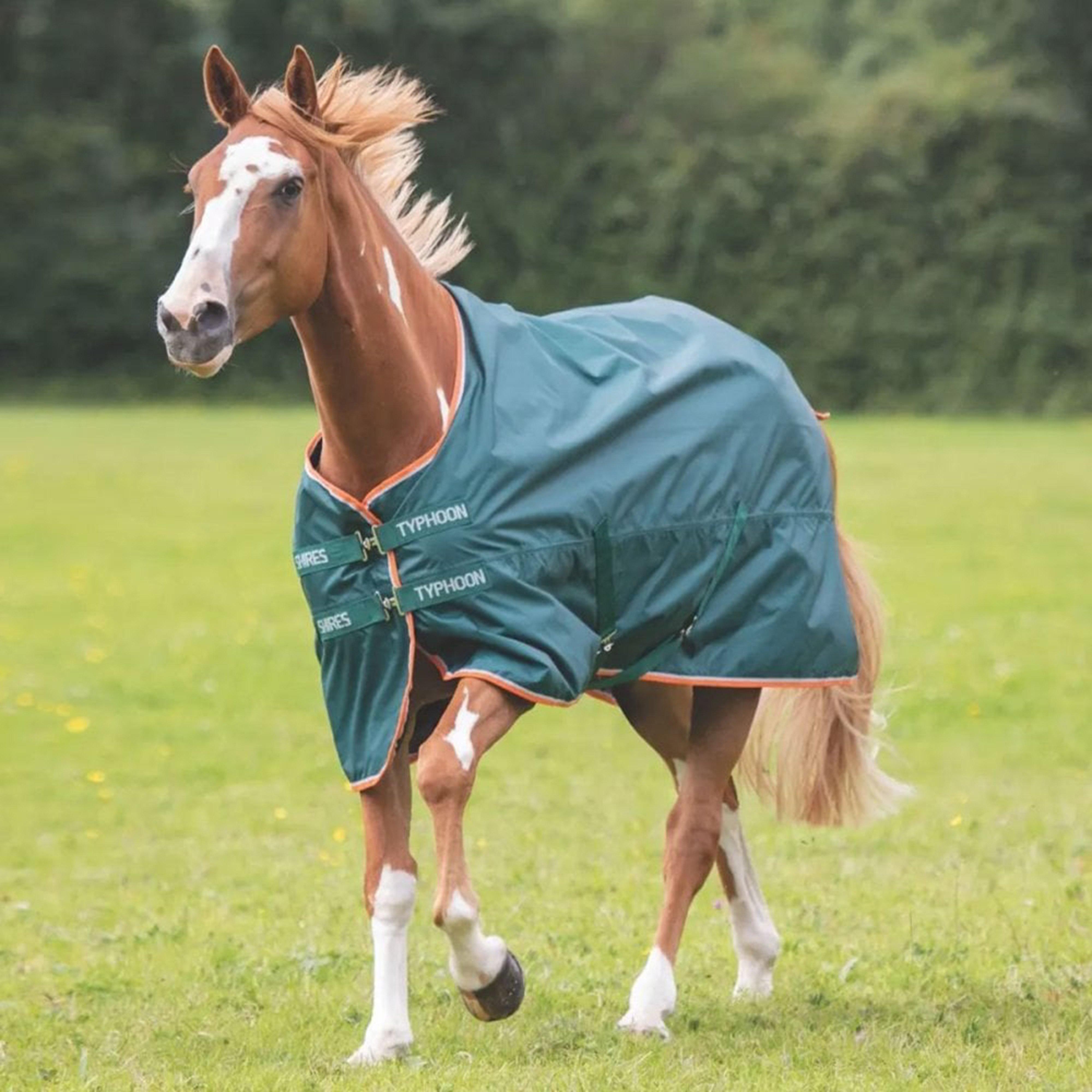 Typhoon Lite Rug