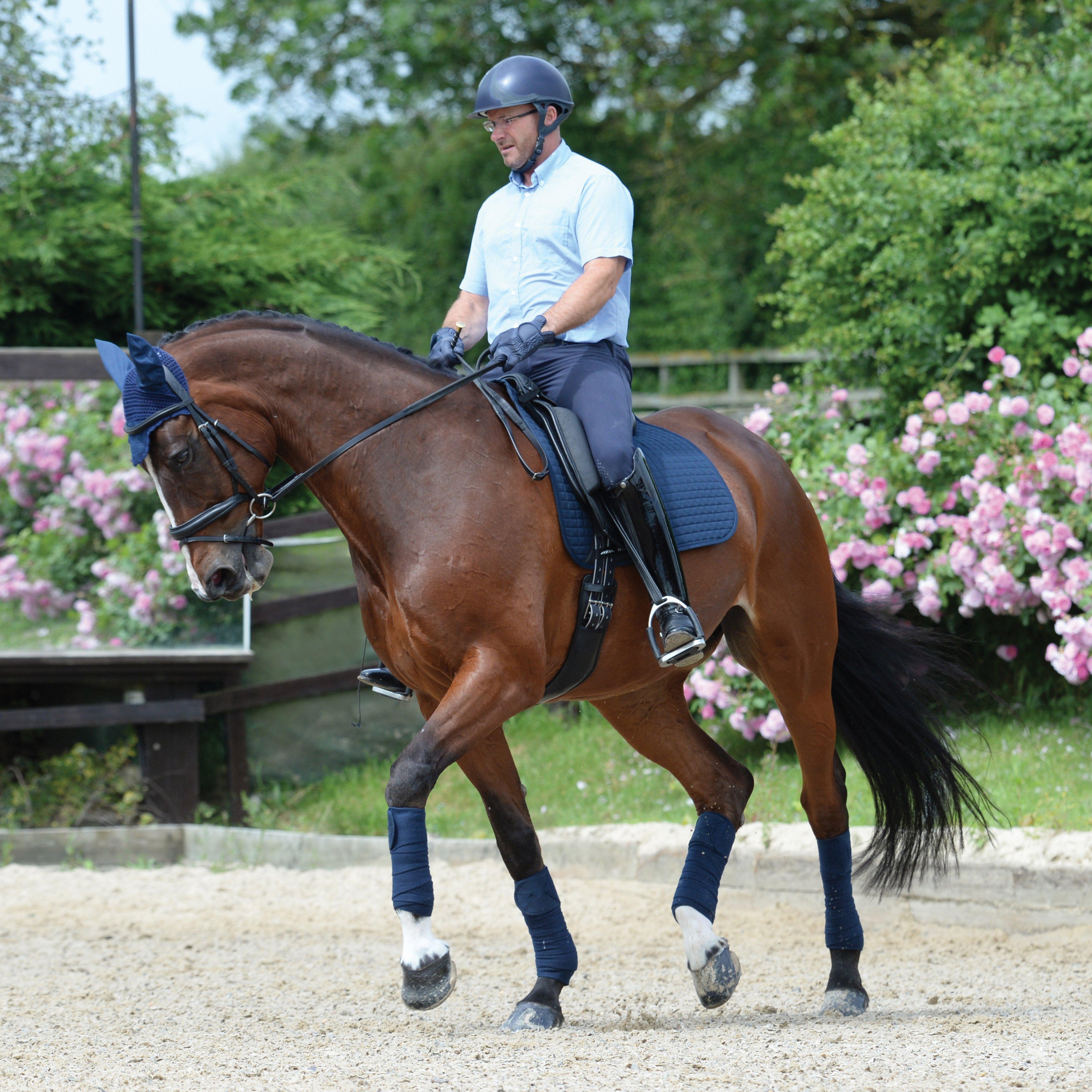 Prime Dressage Saddle Pad Navy