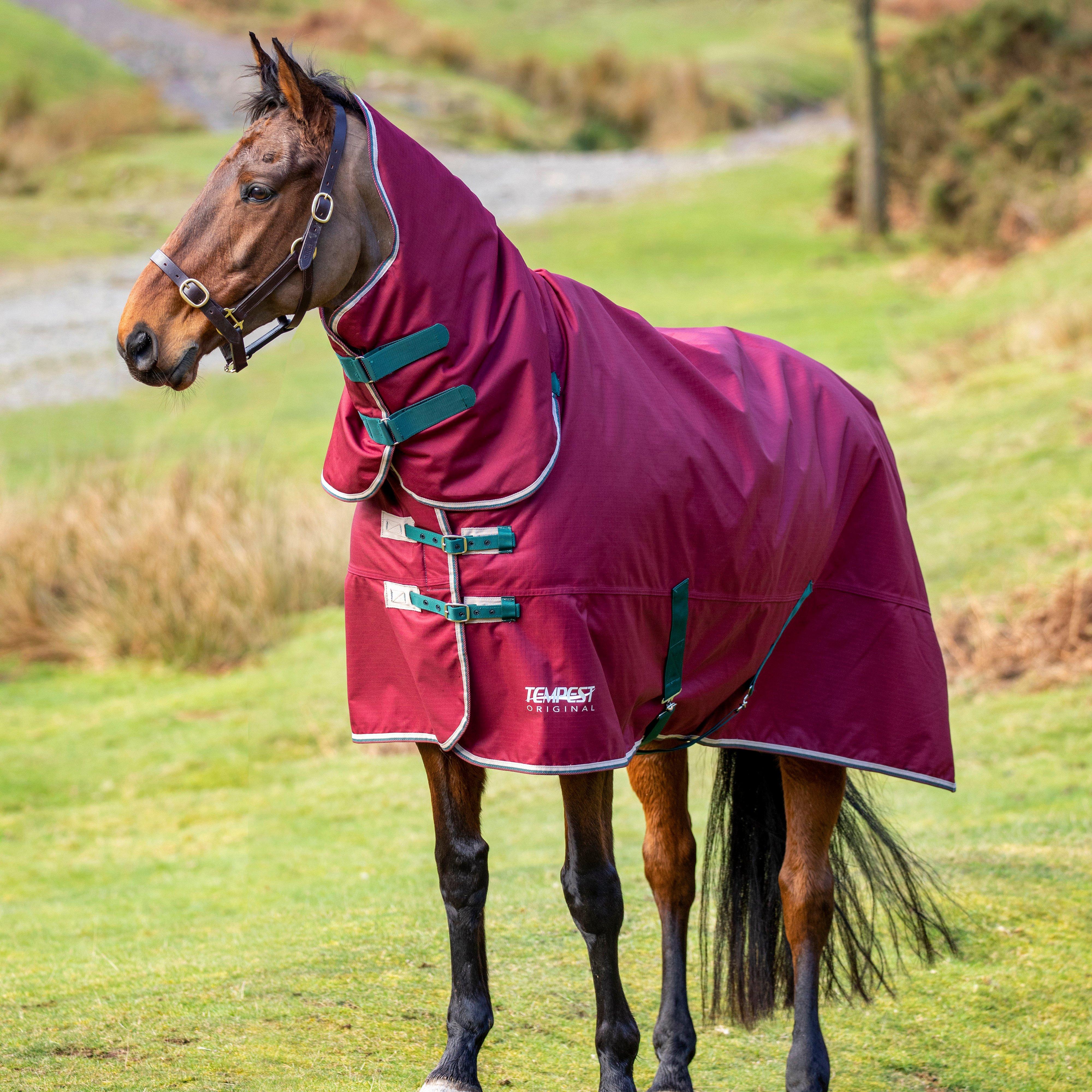 Tempest Original Standard Neck 200g Medium Weight Turnout Rug