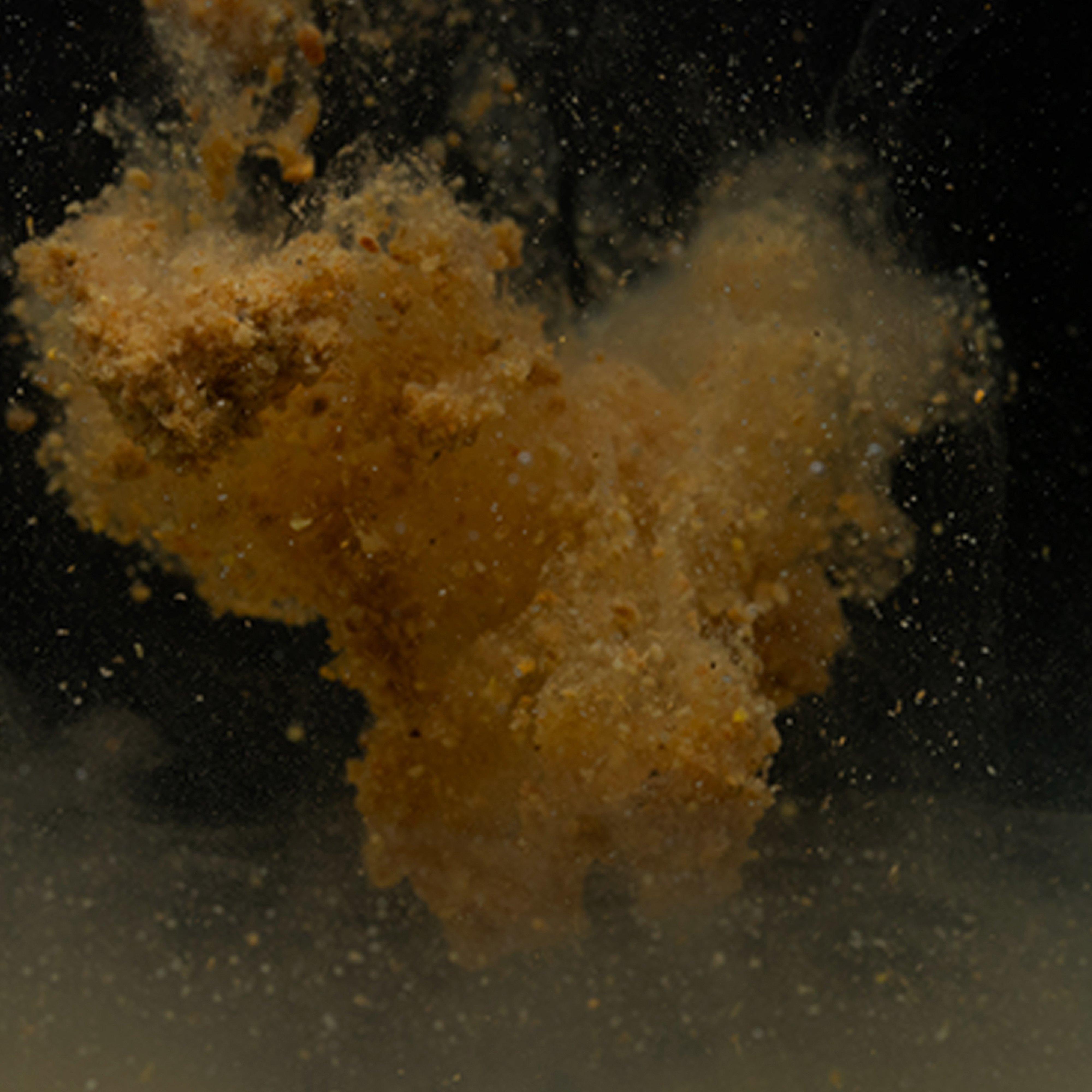 Krill Active Mix 900G