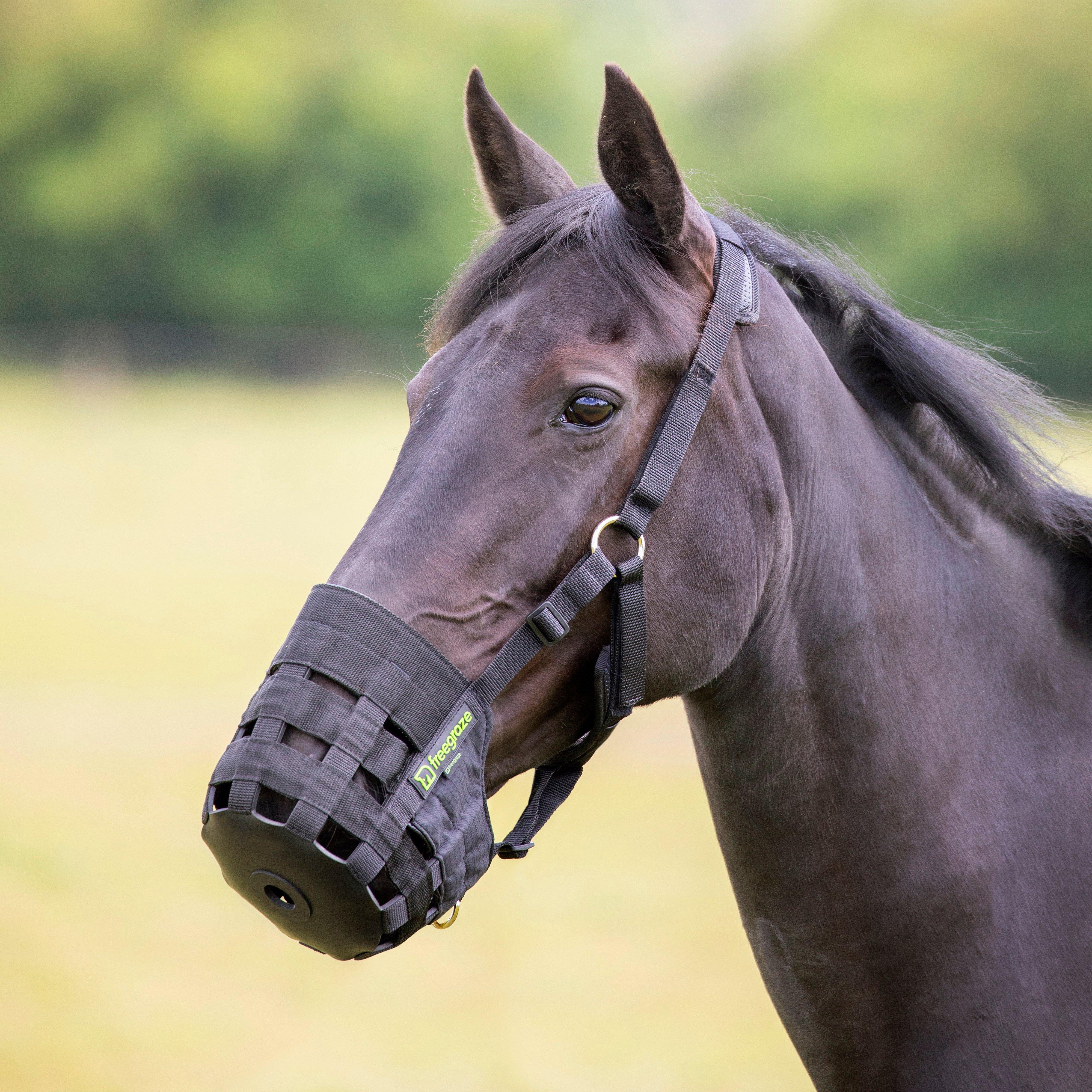 Comfort Grazing Muzzle