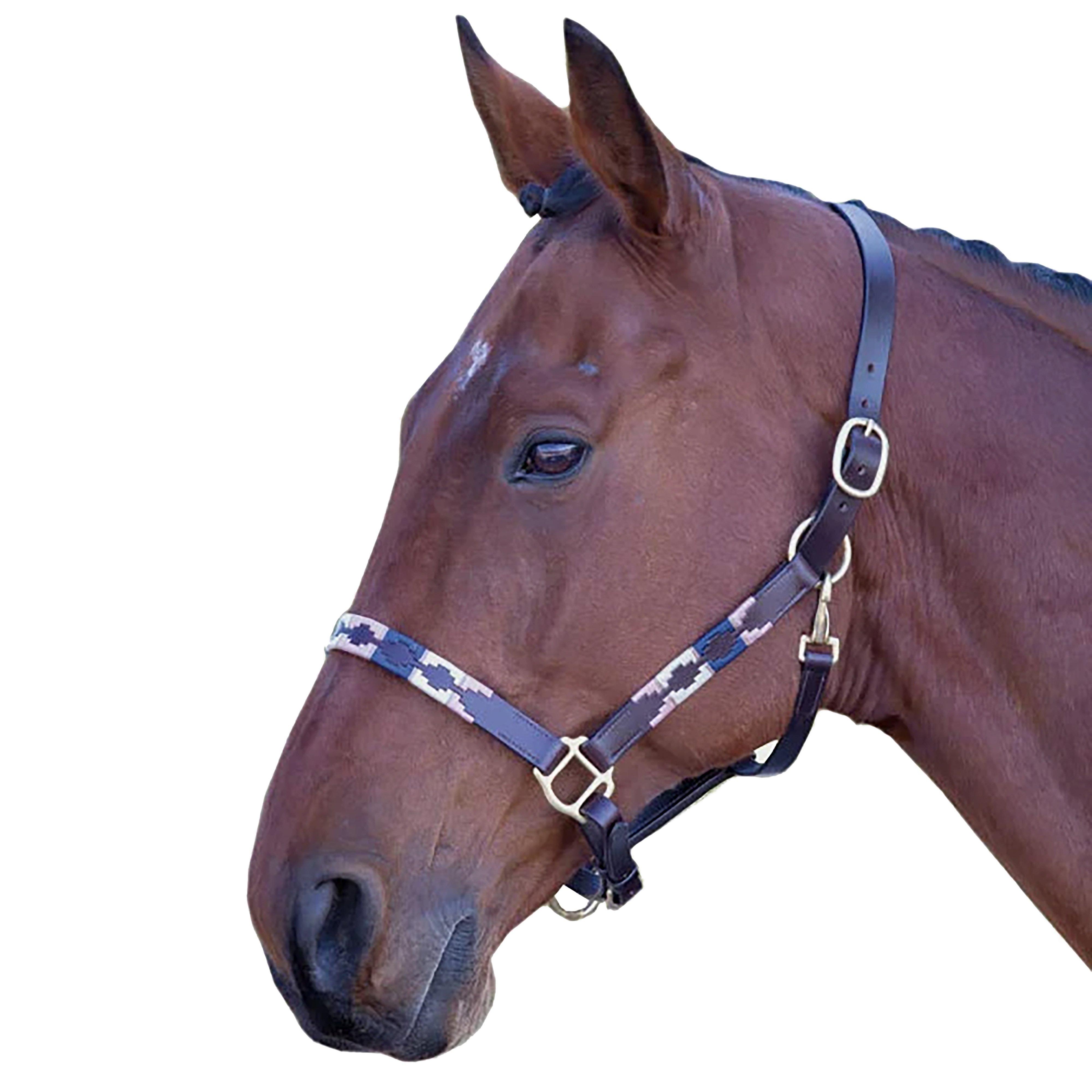 Leather Polo Headcollar