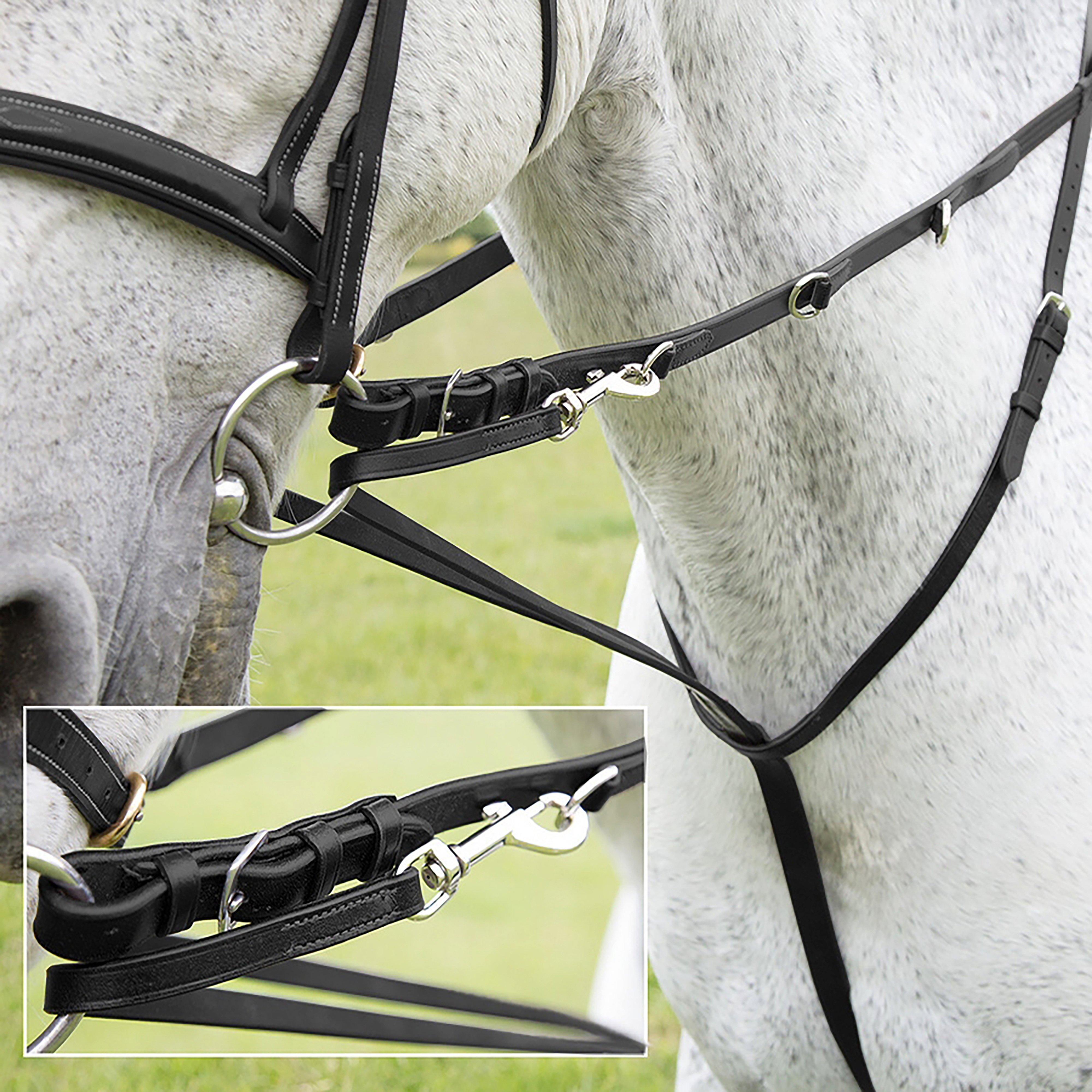 Market Harborough Havana