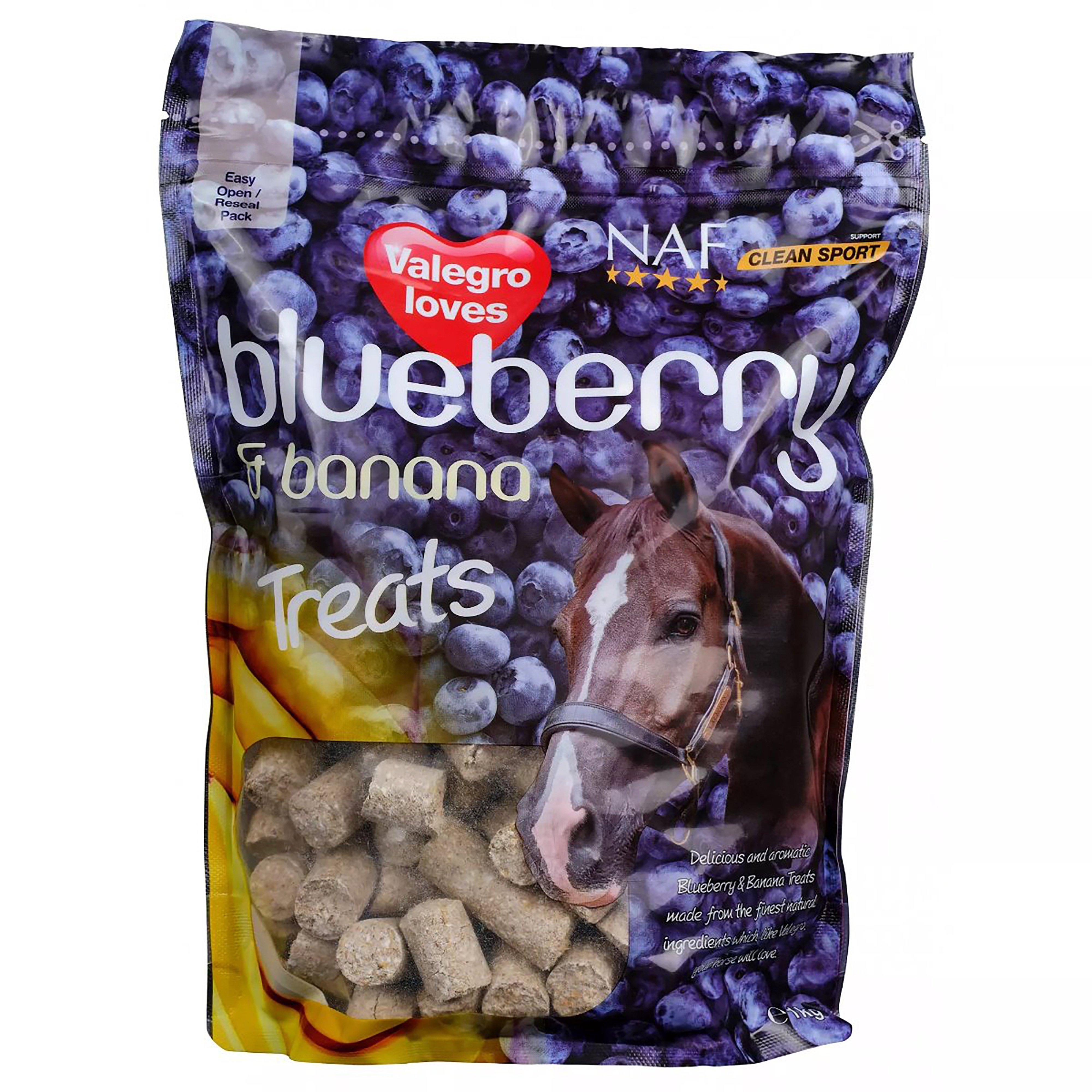 Banana and Blueberry Treats