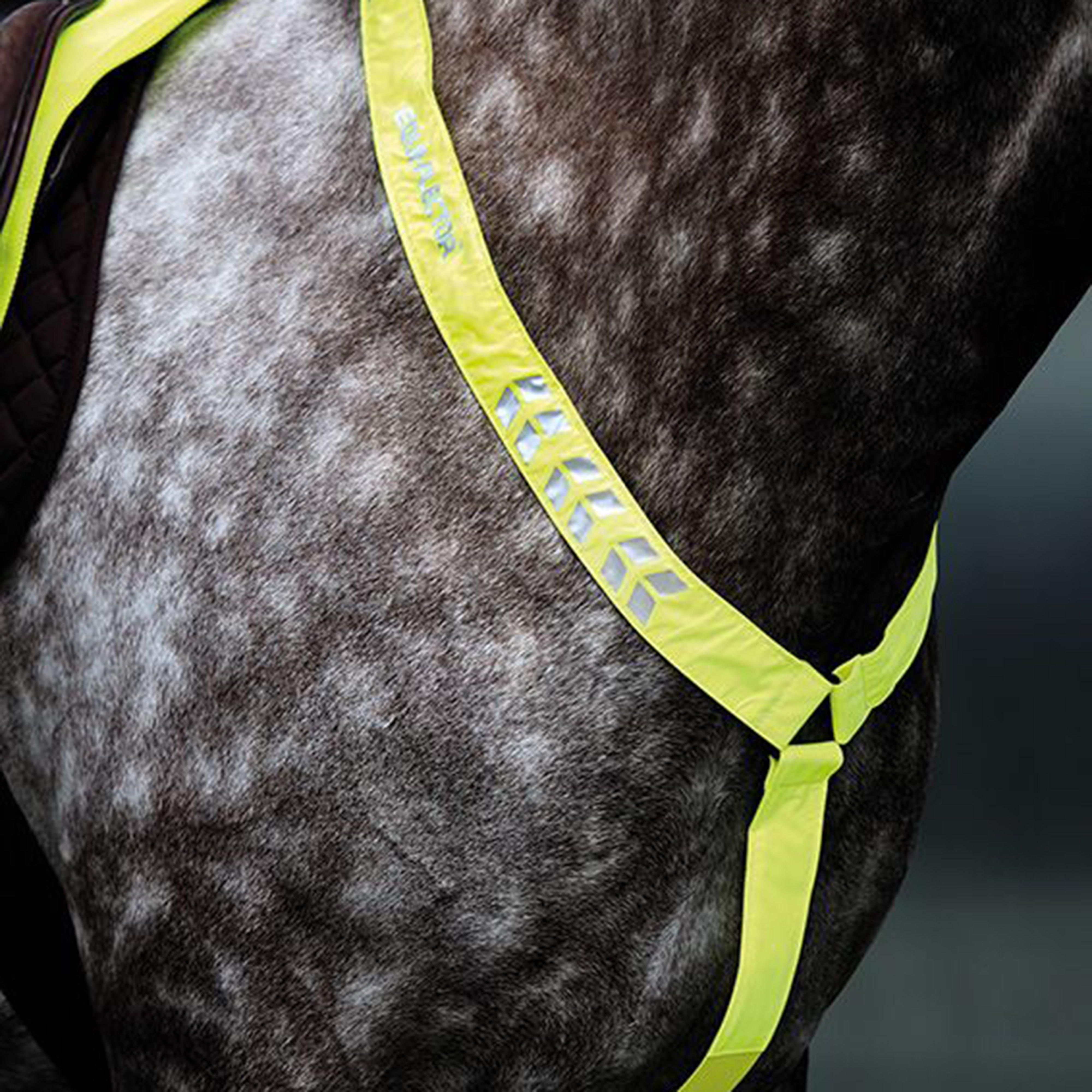 Breastplate