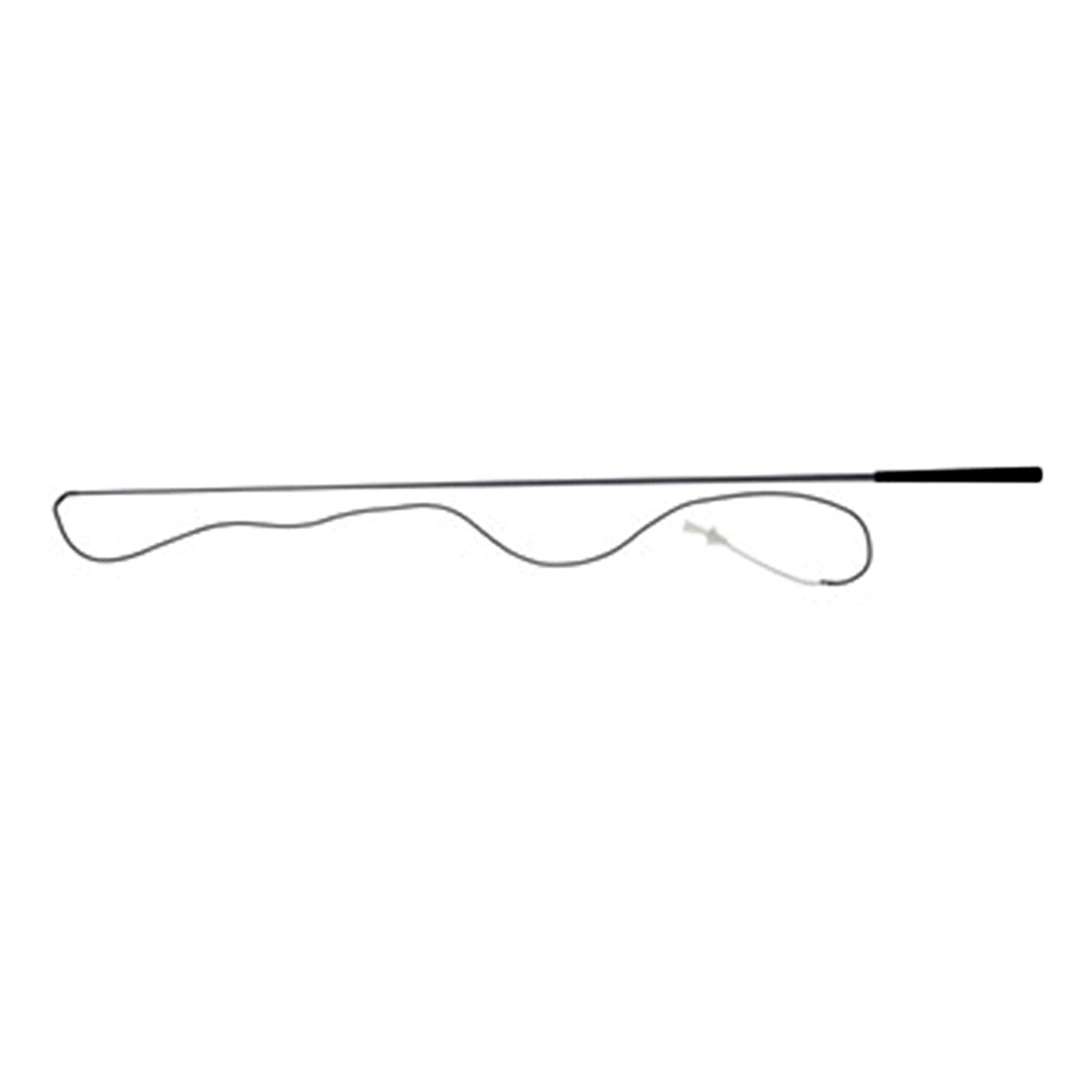 L unging Whip Black