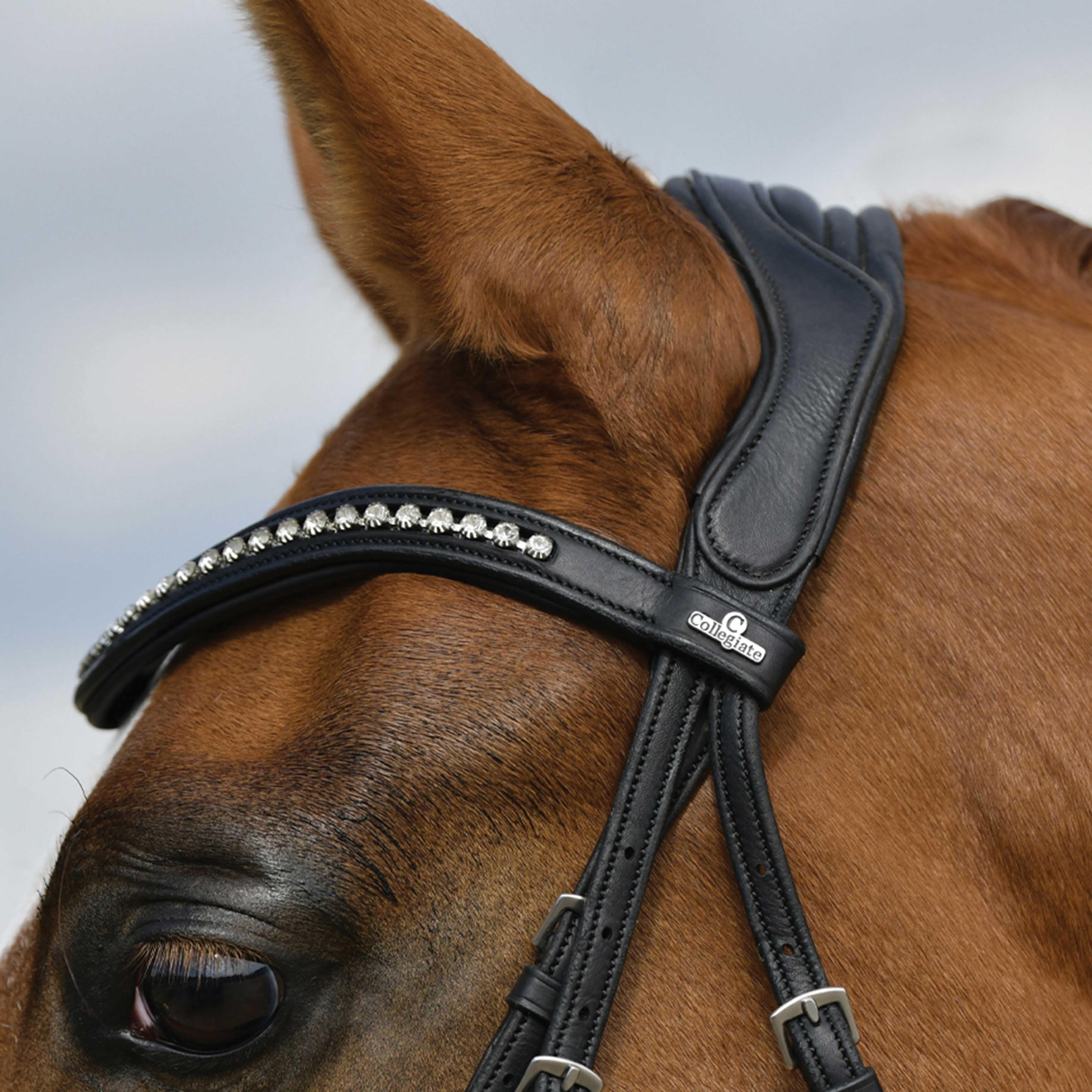 Soft Padded Leather Reins
