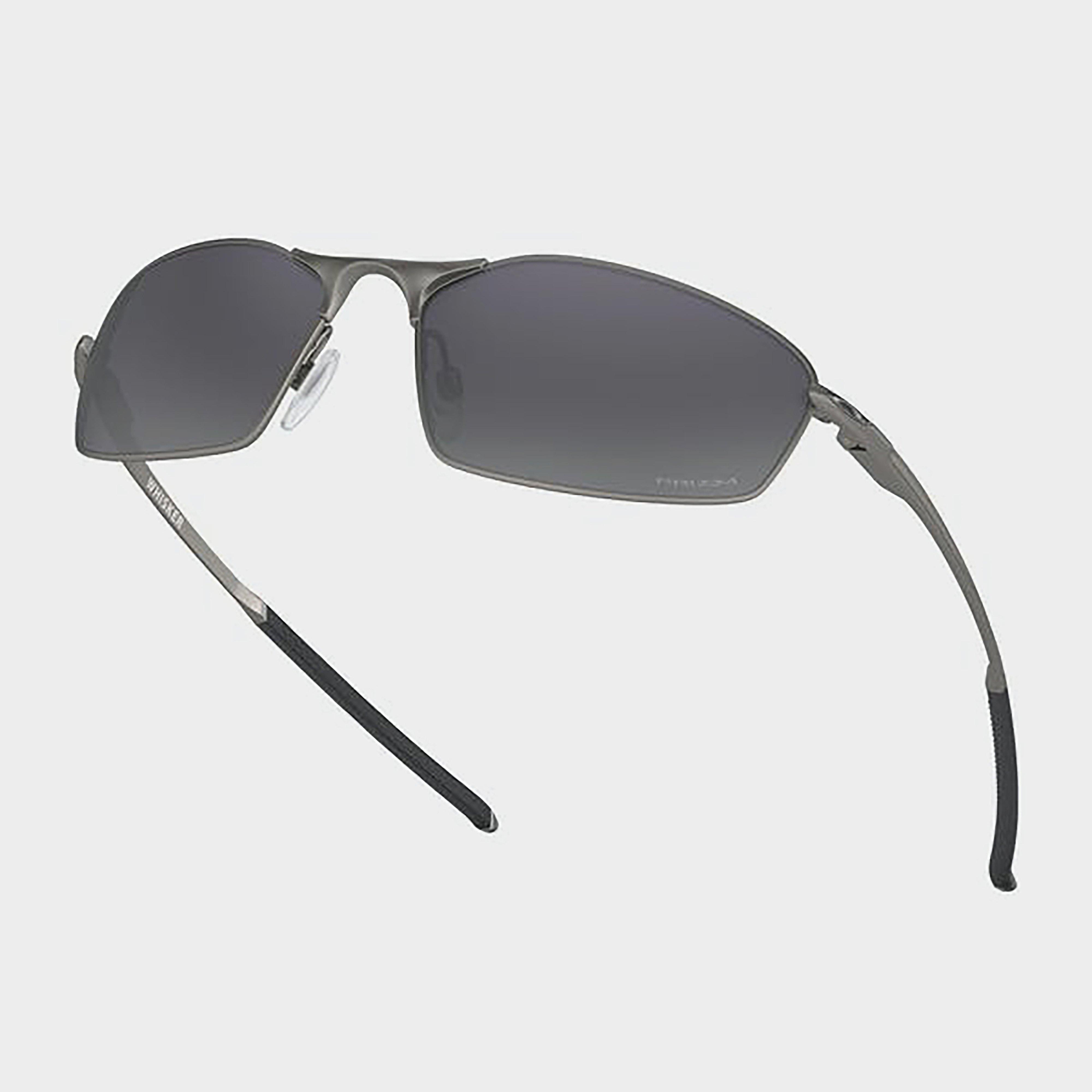 Whisker Carbon Sunglasses