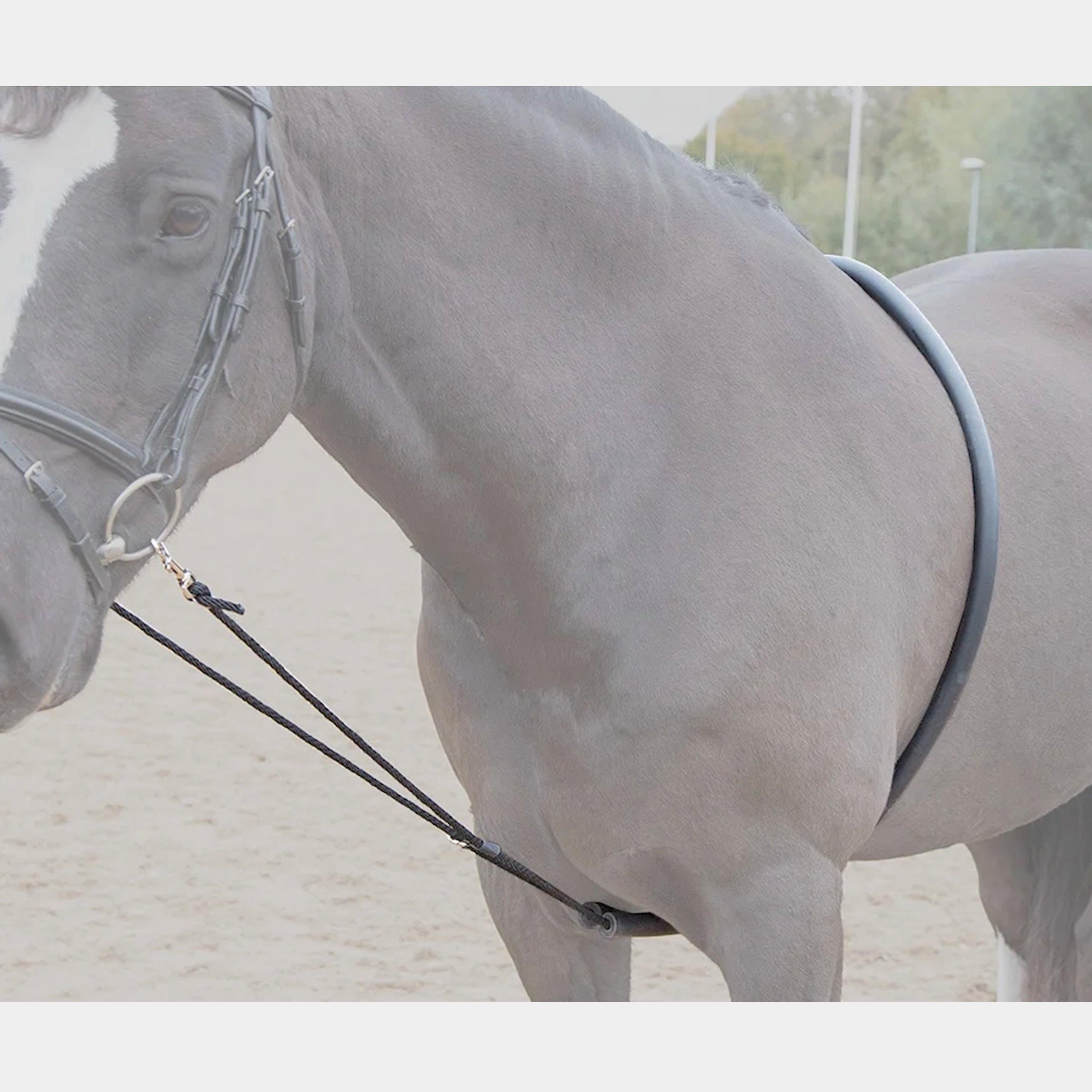 Soft Lunge Aid