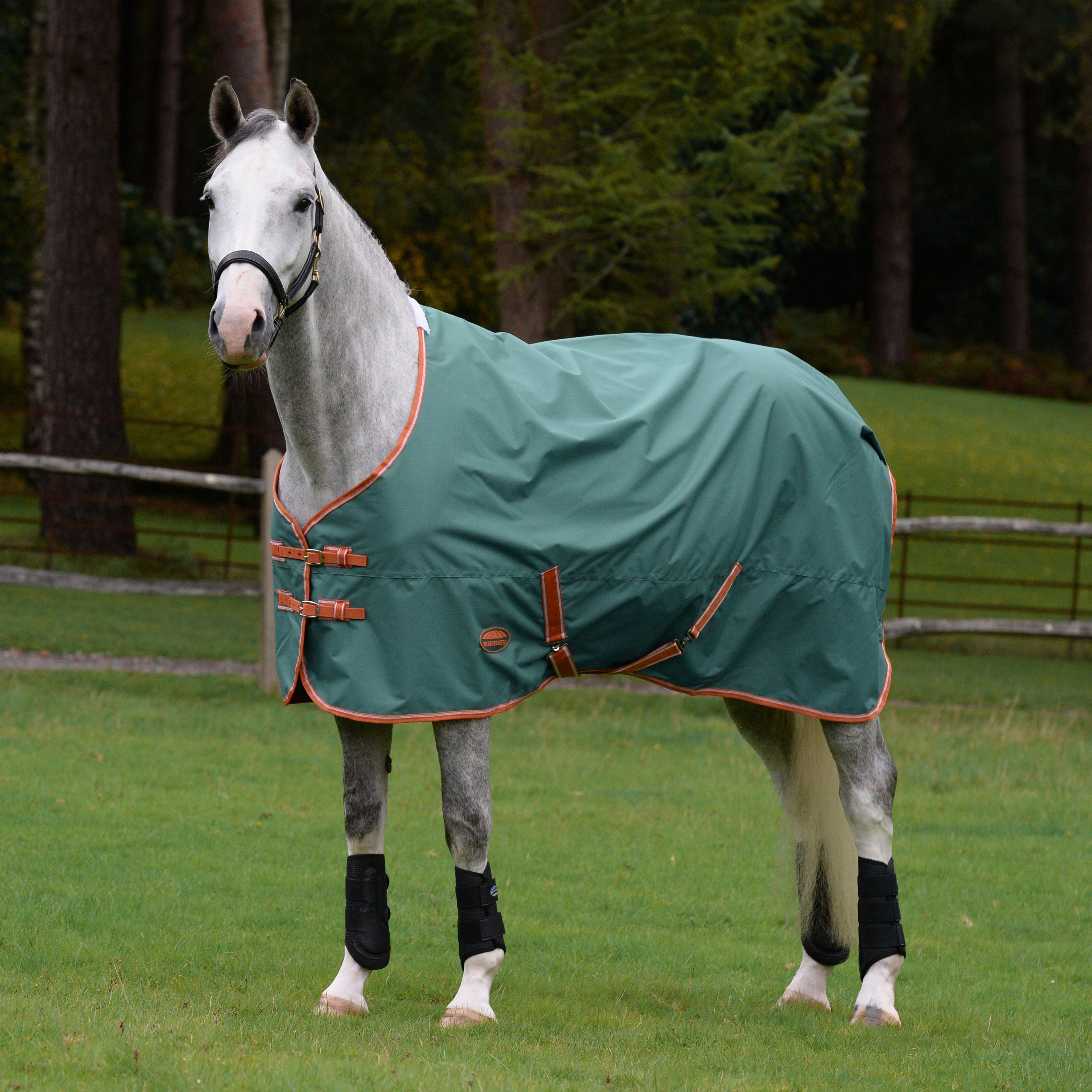ComFiTec Tyro Standard Neck Lite Plus Rug
