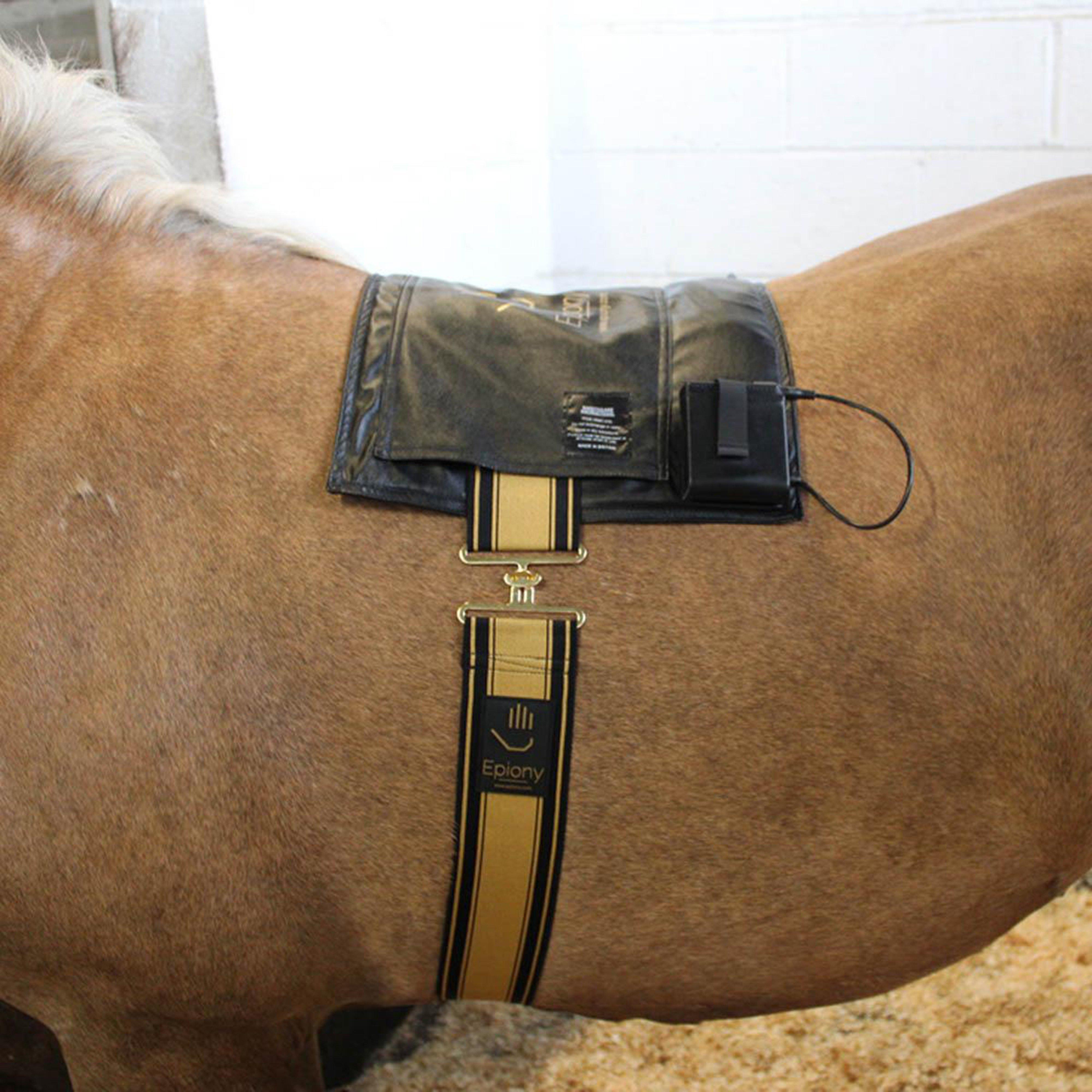 Therapy Heat Pad