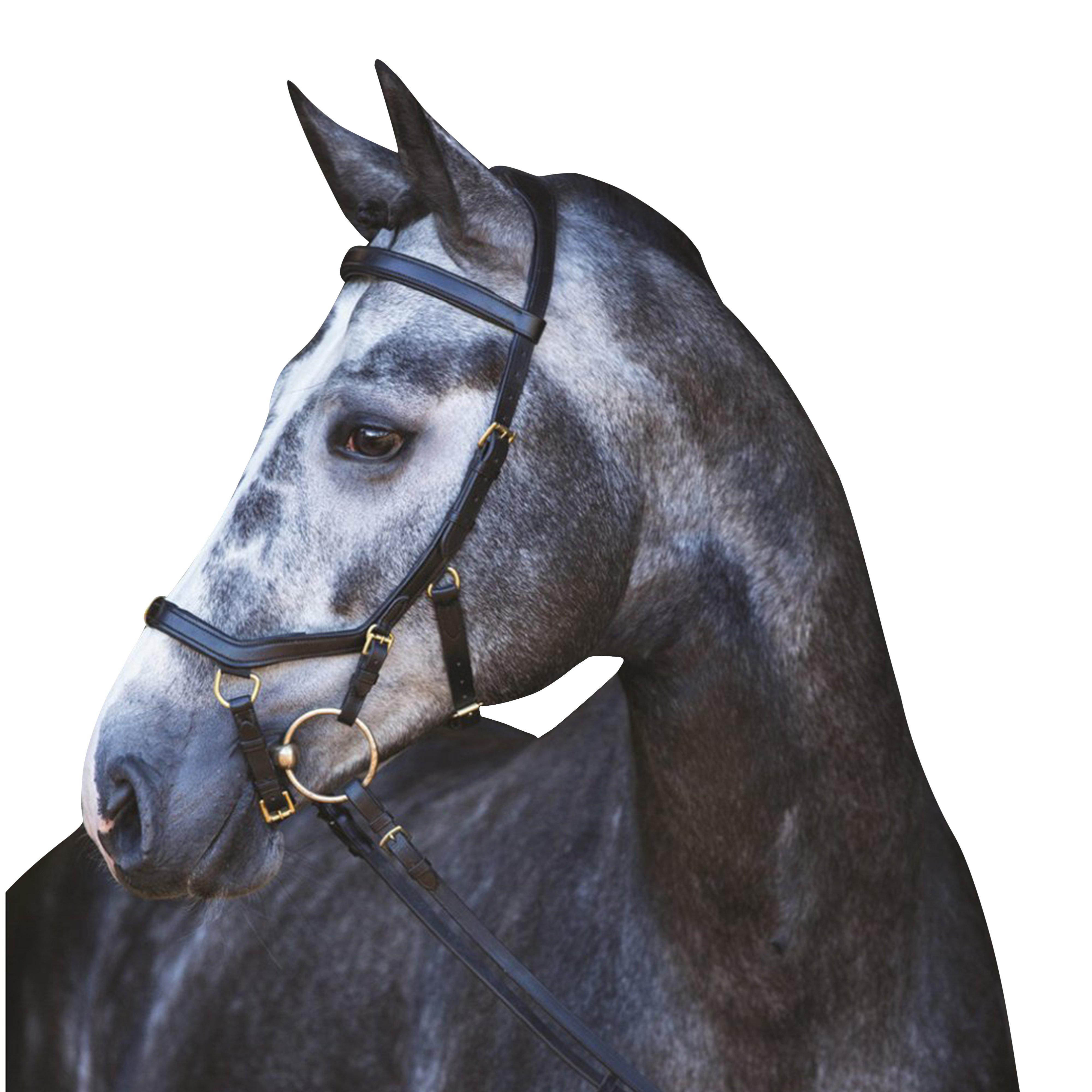 Rambo Micklem Multibridle