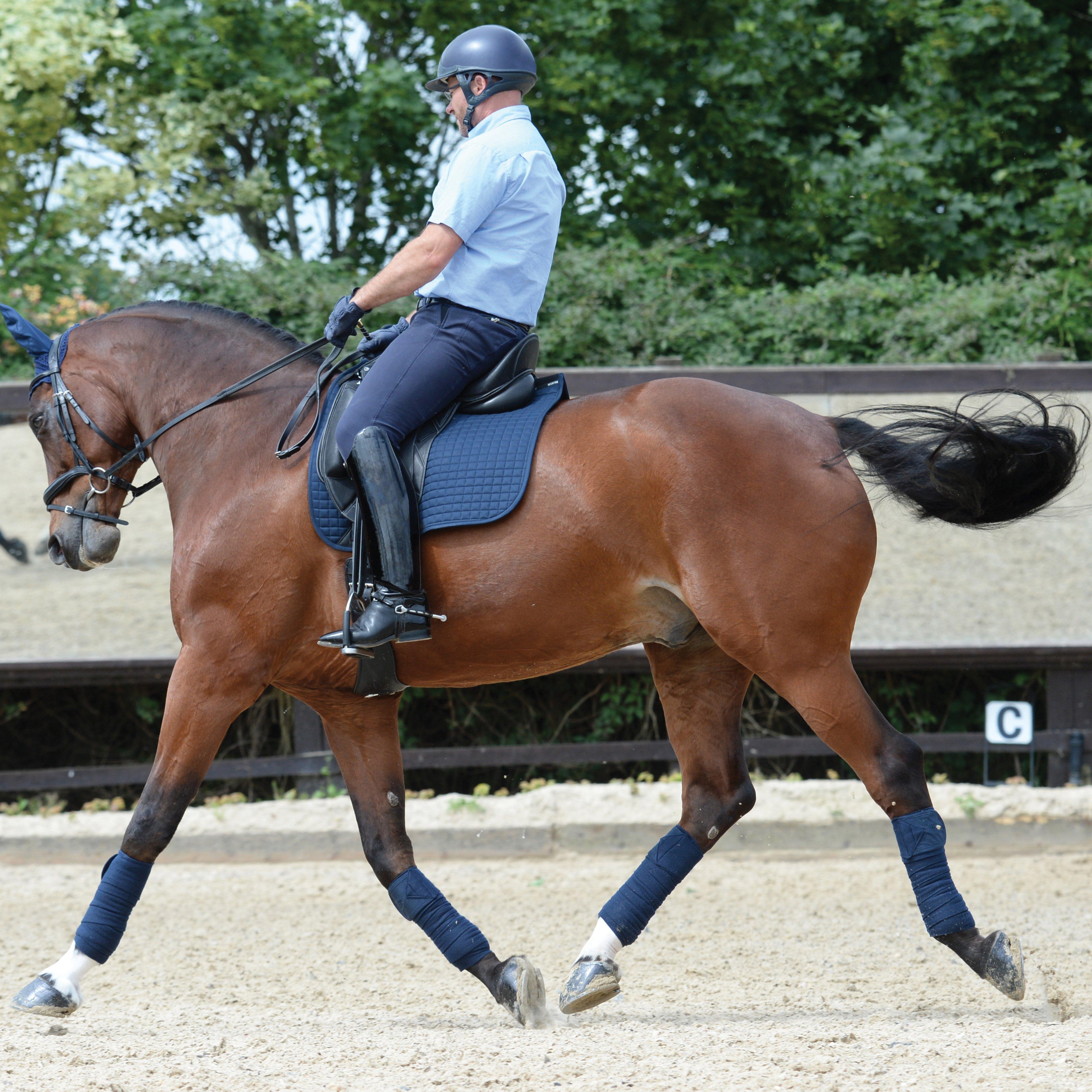 Prime Dressage Saddle Pad Navy