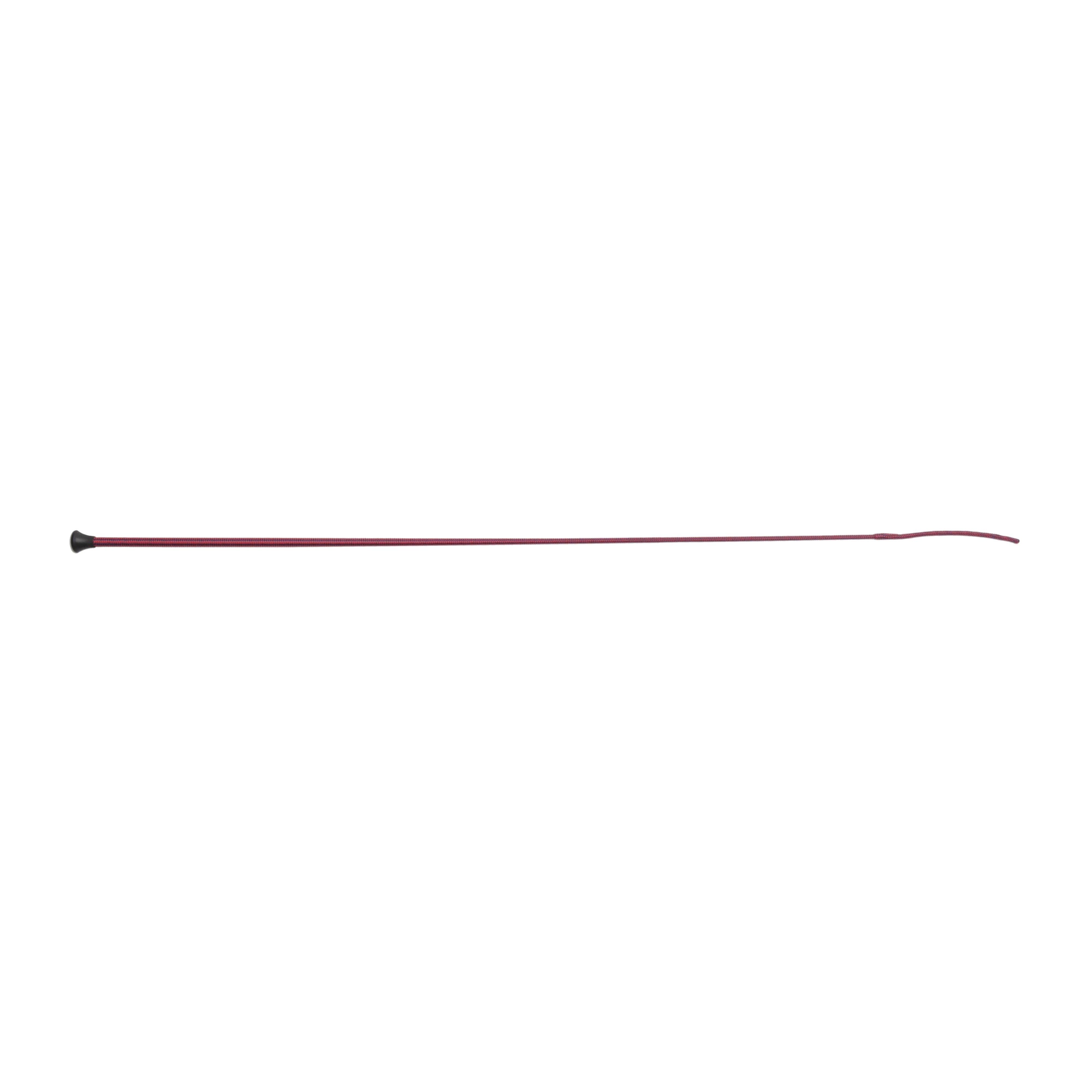 Schooling Whip