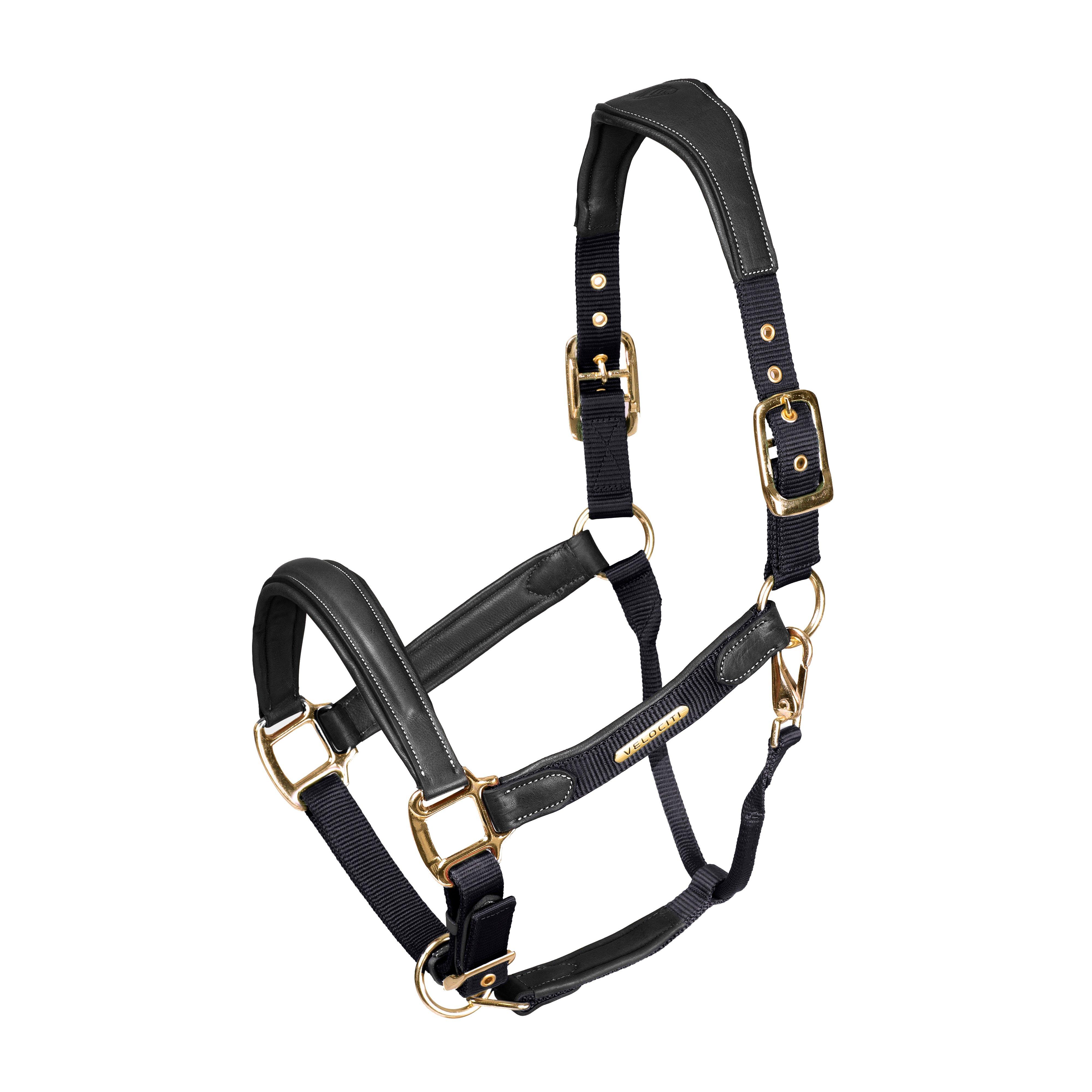 Velociti Lusso Padded Leather Headcollar