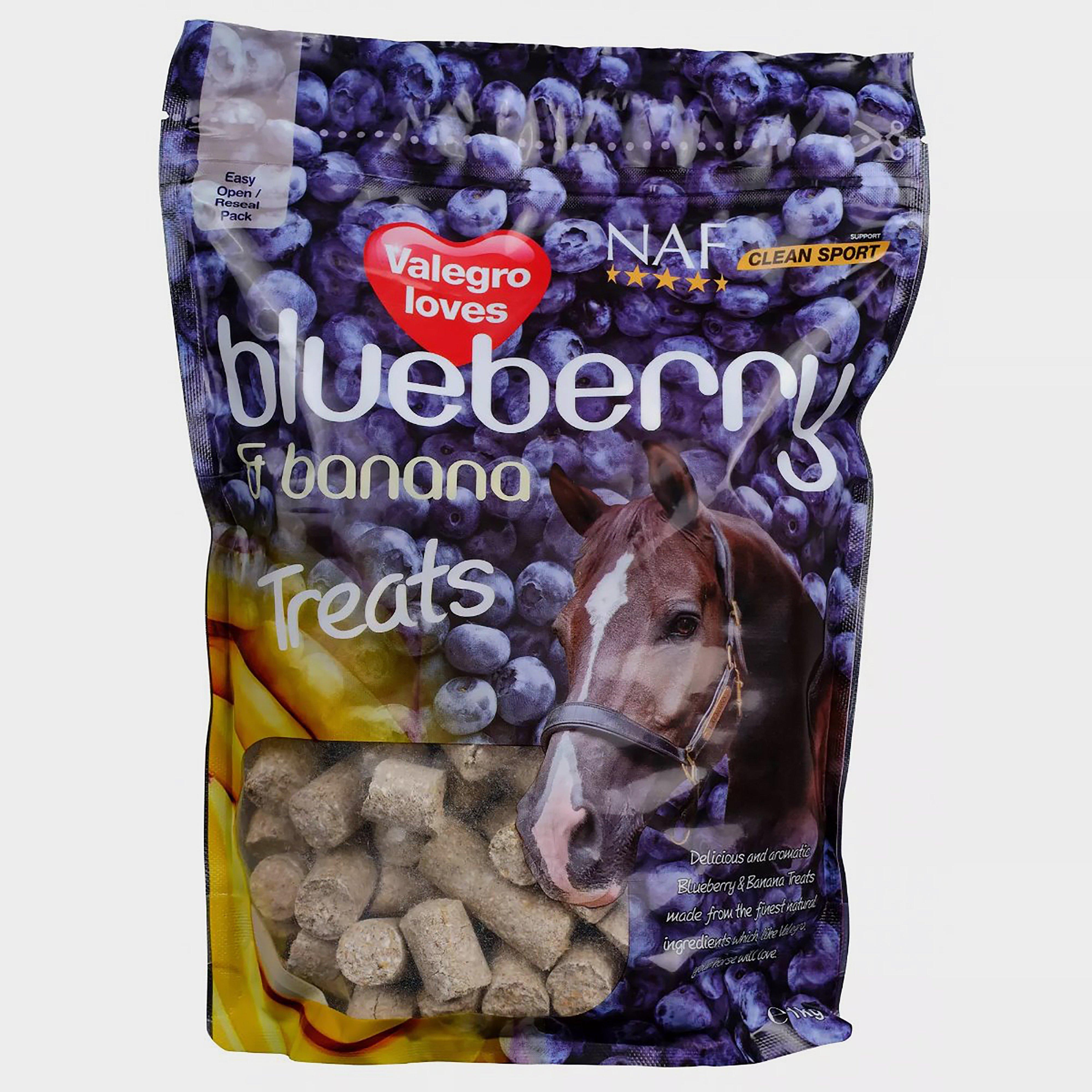 Banana and Blueberry Treats