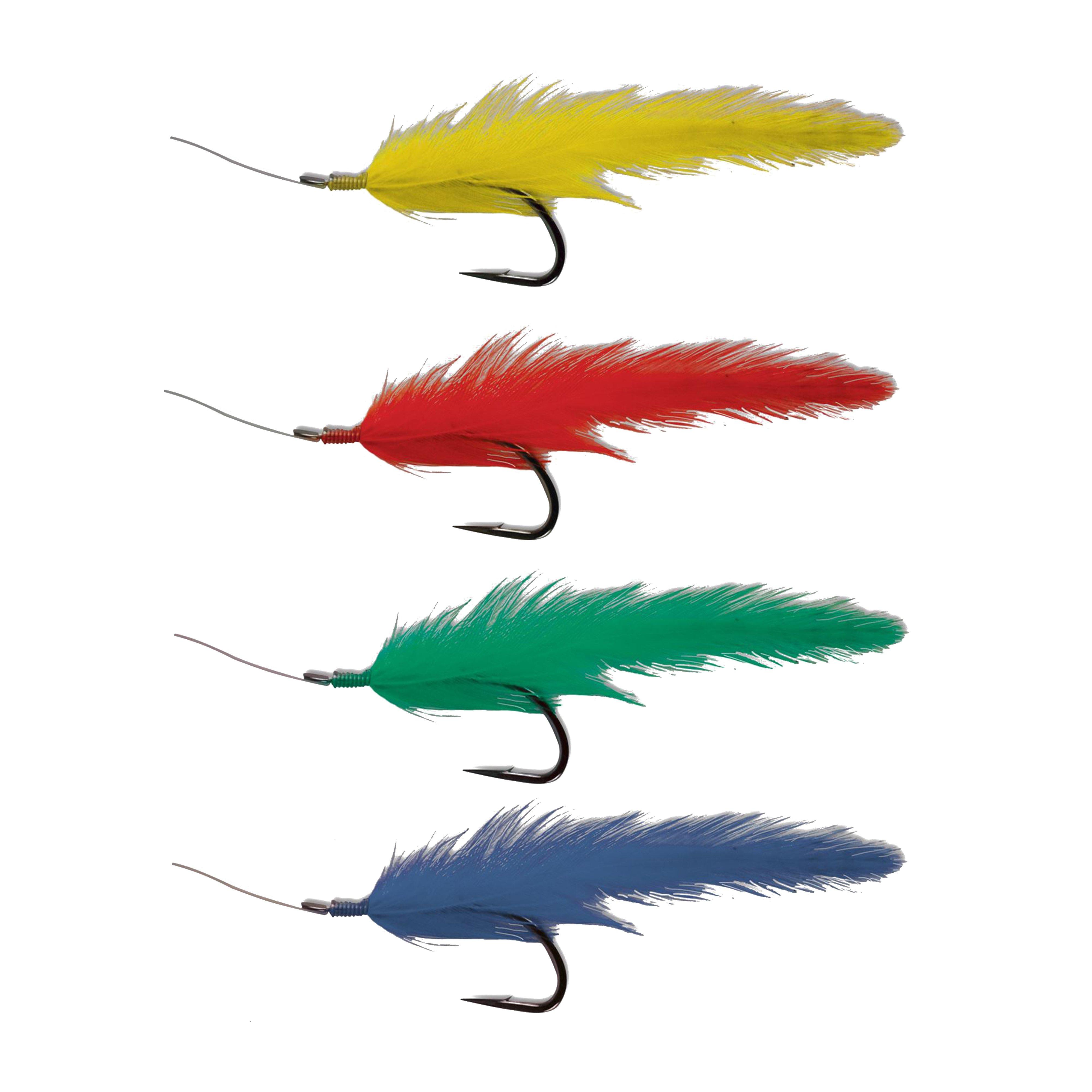Colour Feathers