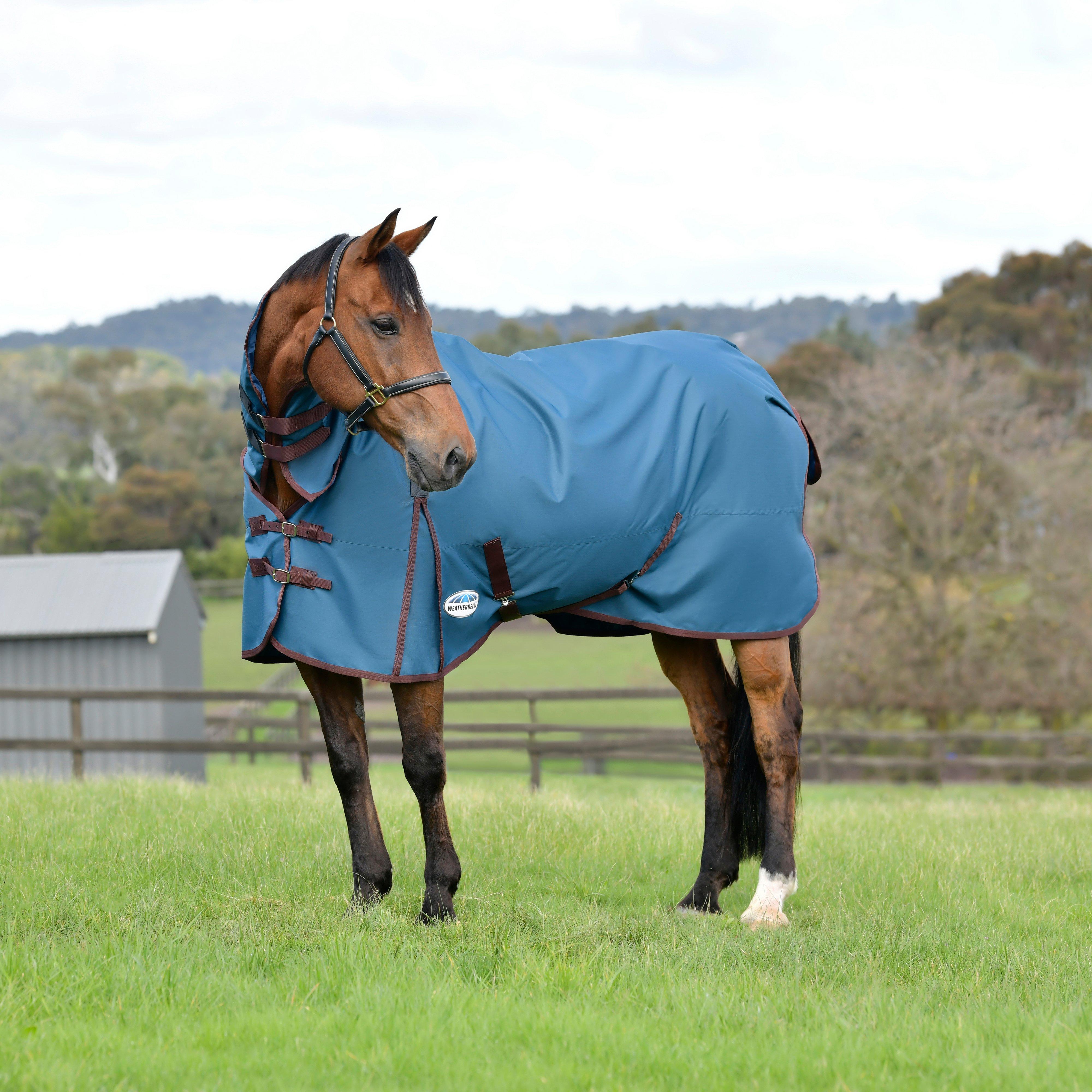 ComFiTec Classic Combo Neck Medium