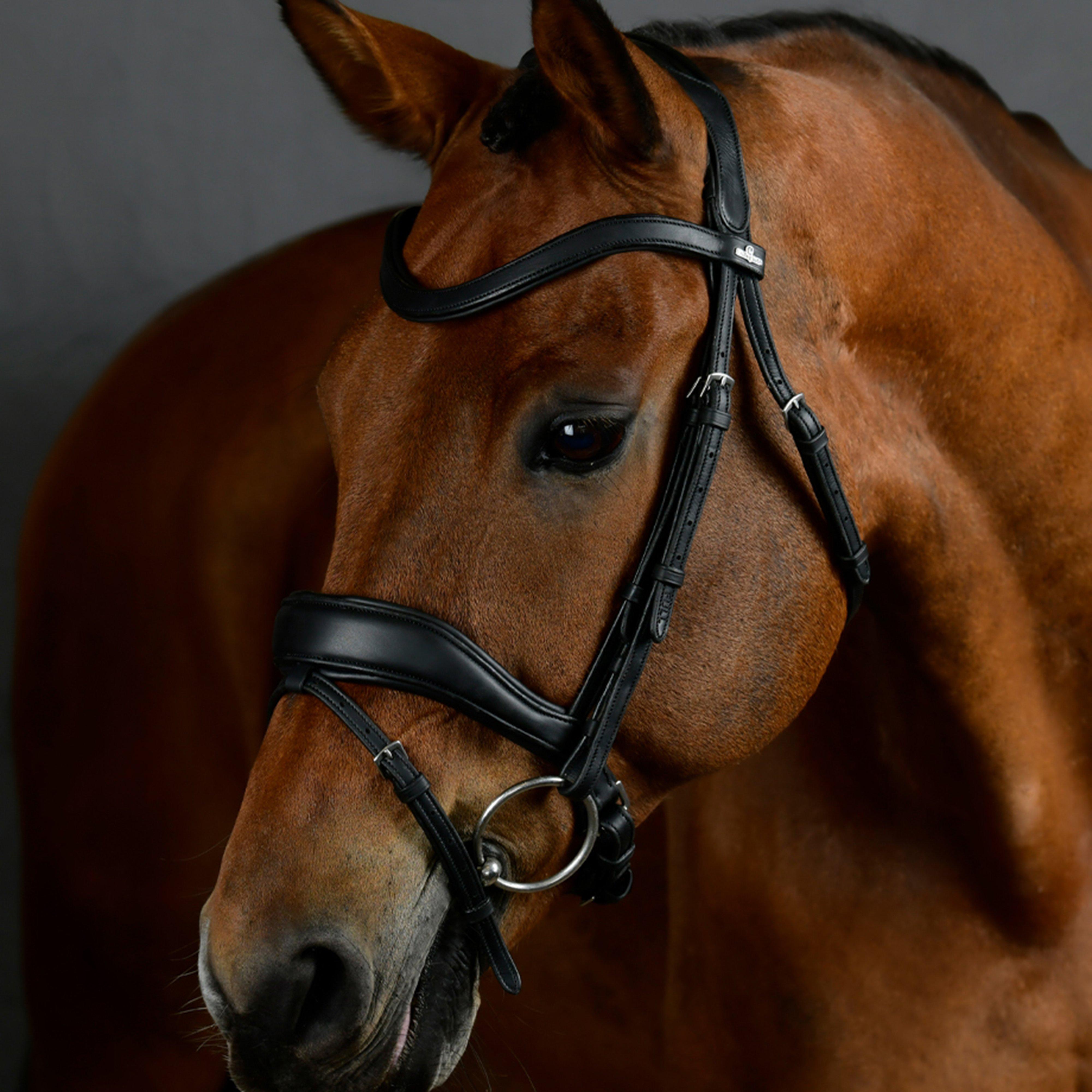 Soft Padded Leather Reins