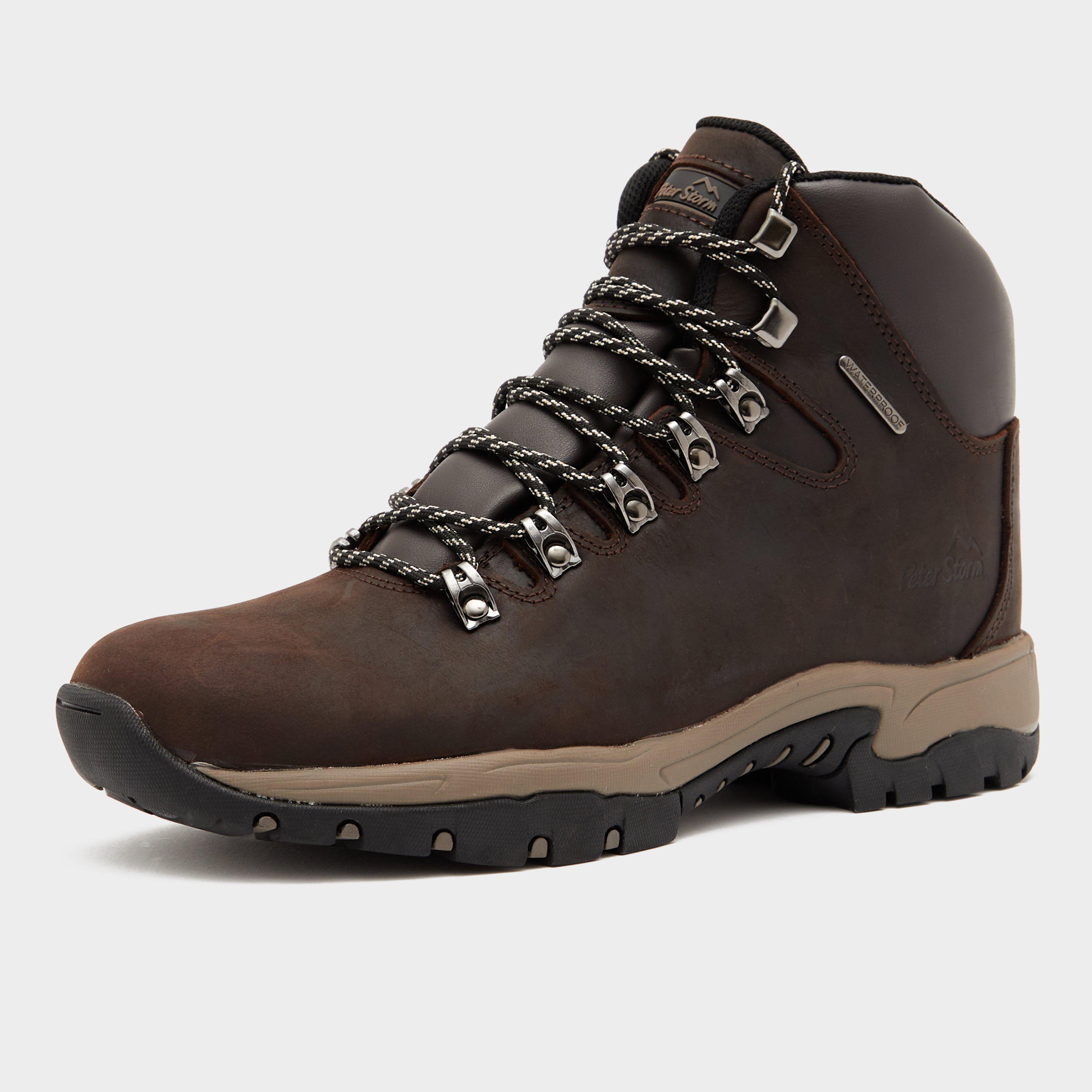 Men's Snowdon II Walking Boots