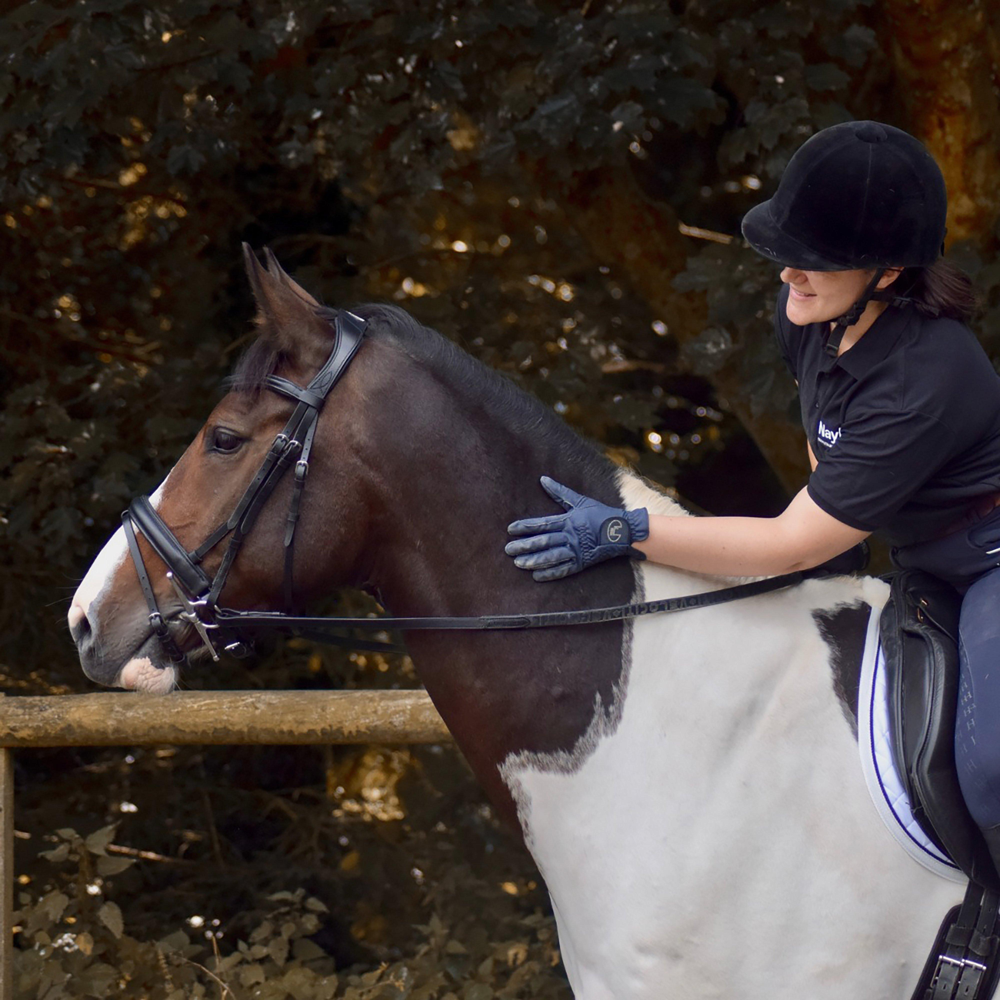 Dressage Flash Bridle Black