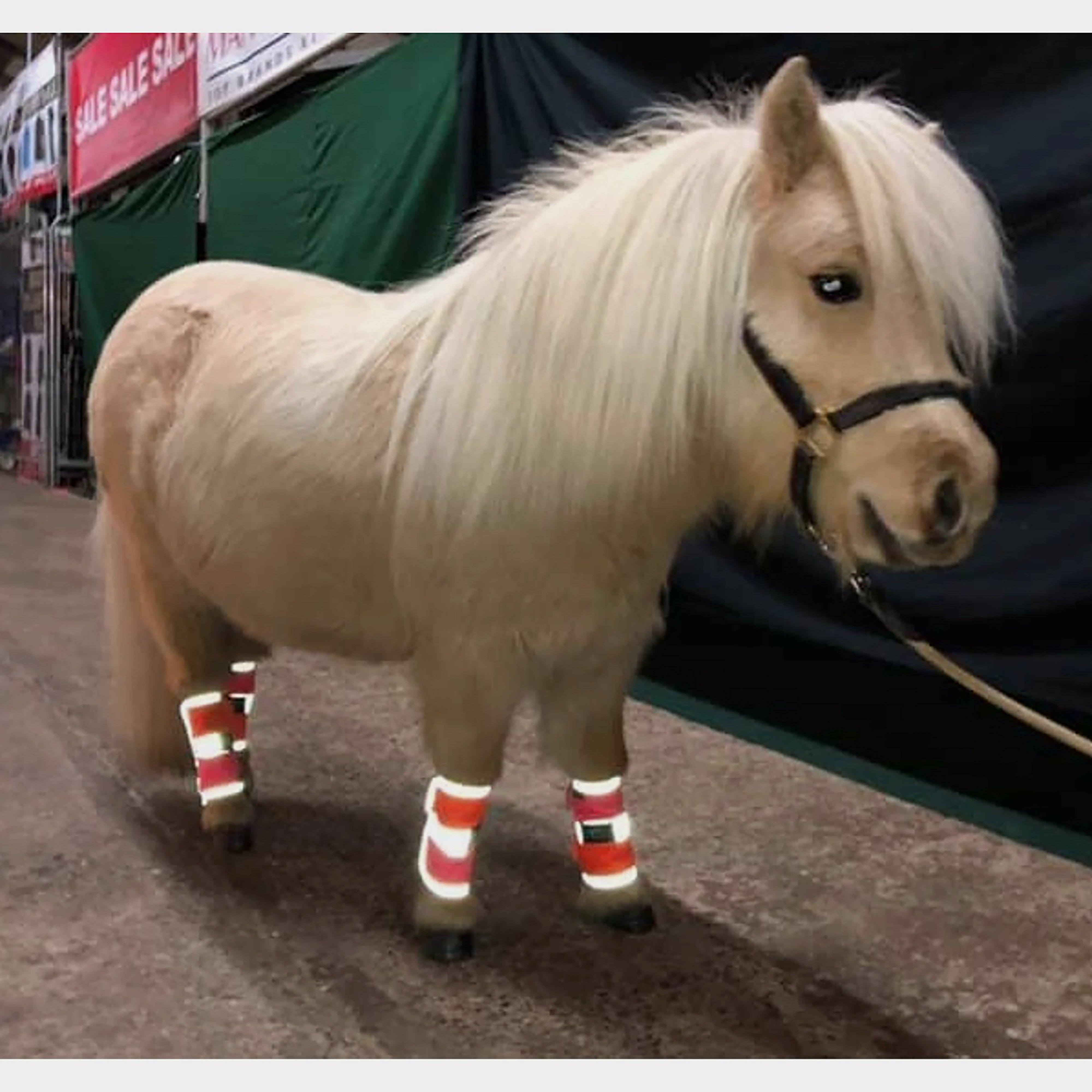 Charlotte Dujardin Multi-Coloured Horse Boots Pink/Orange