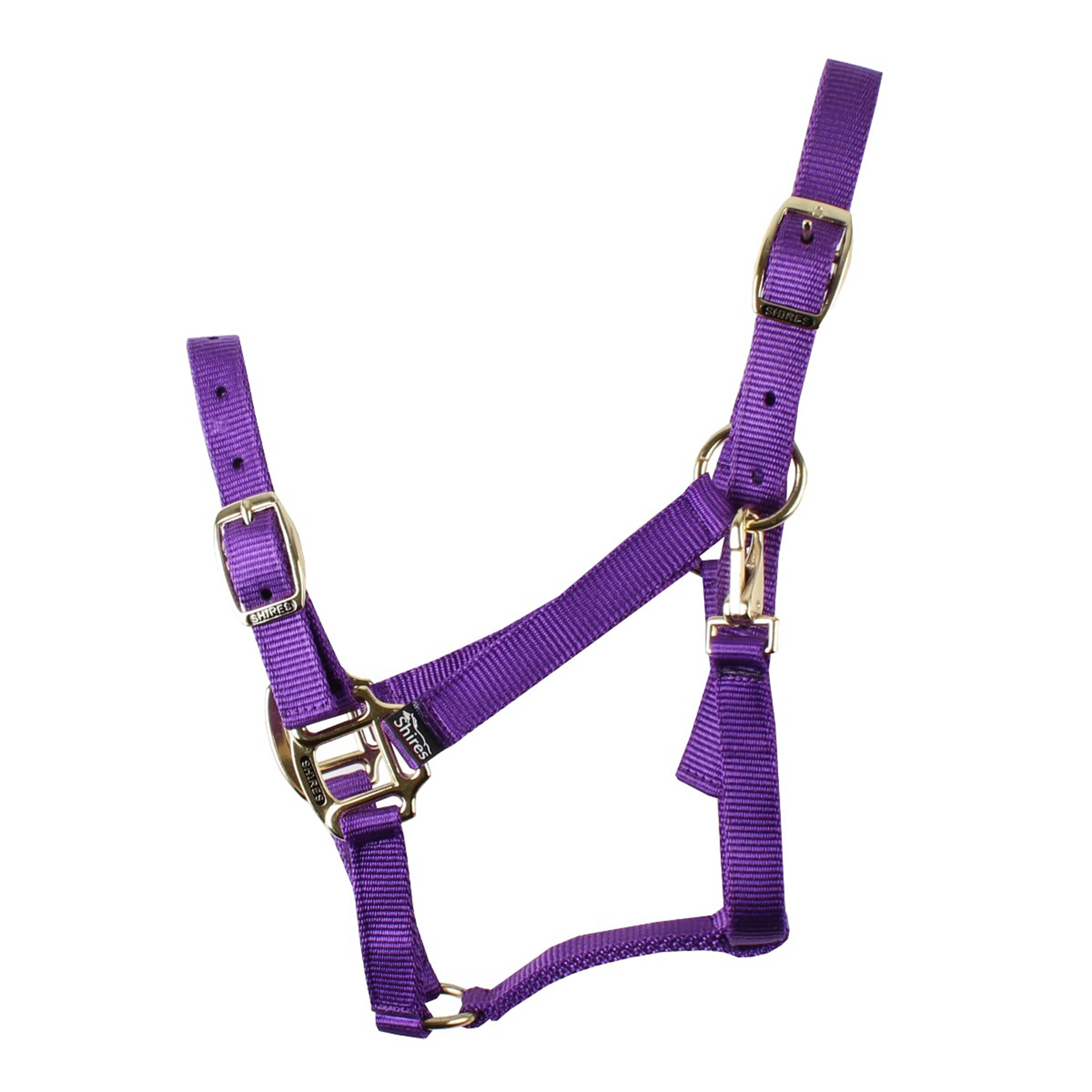 Nylon Headcollar Purple