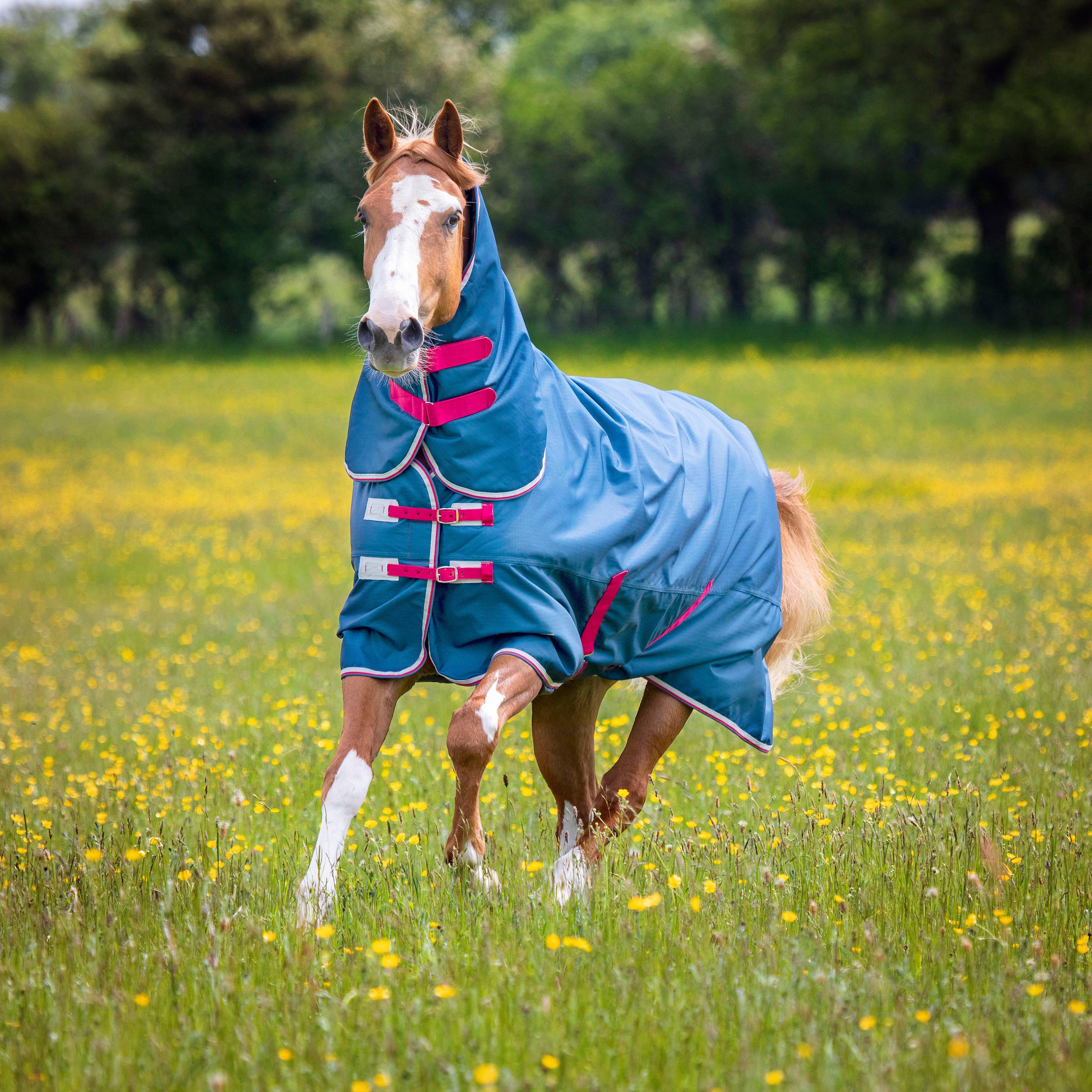 Tempest Original Lite Combo Turnout Rug