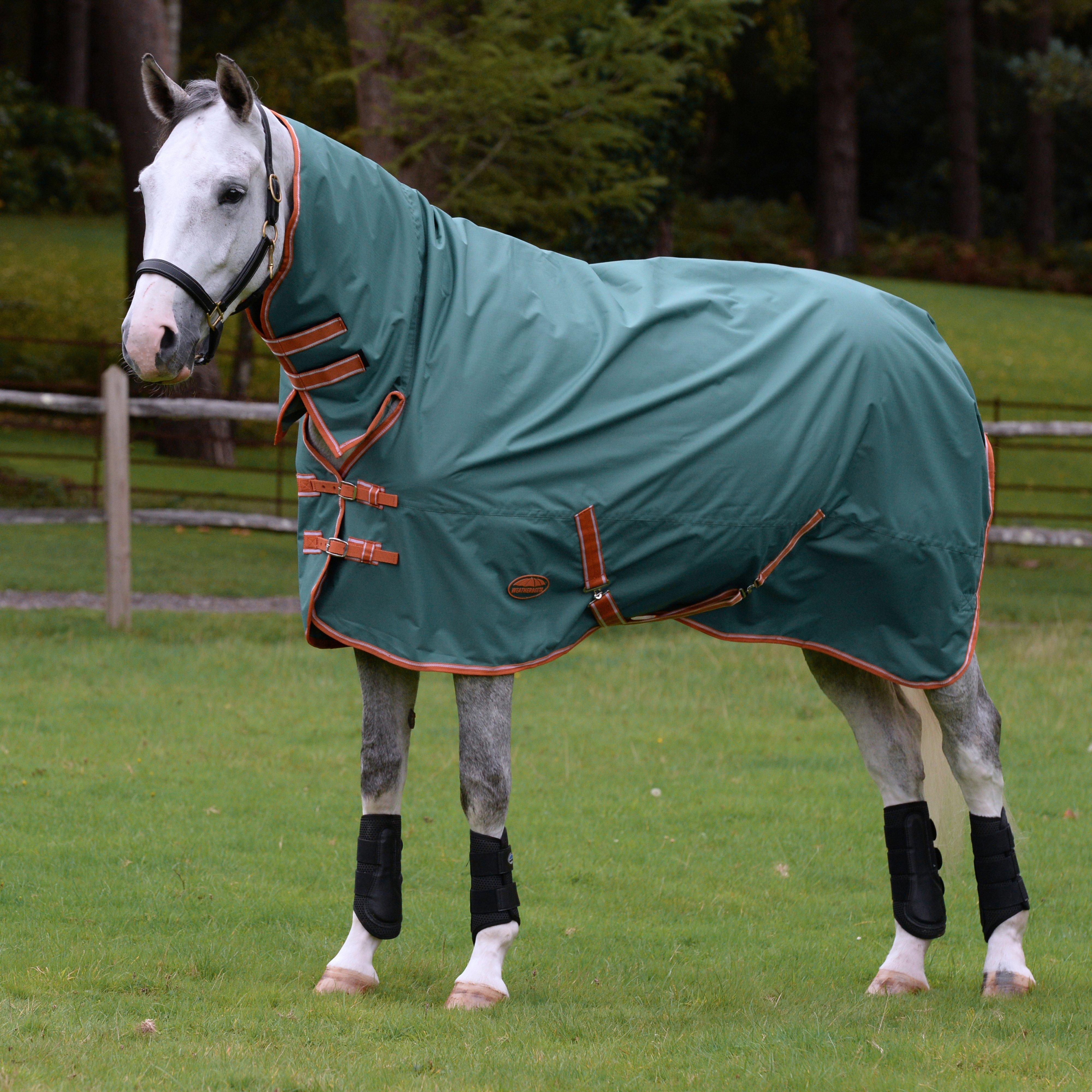 ComFiTec Tyro Combo Neck Lite Plus Rug