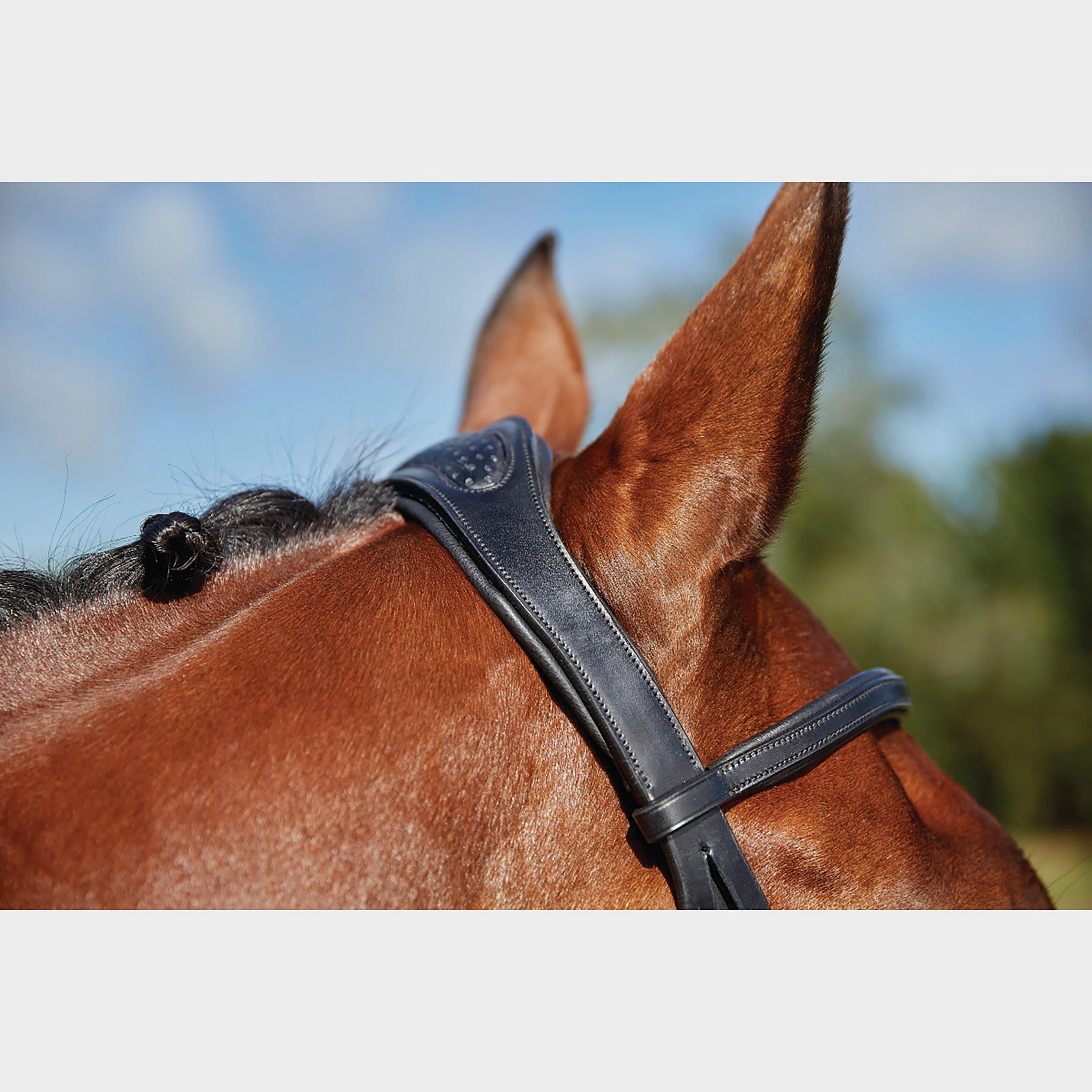 ComFiTec Training Bridle