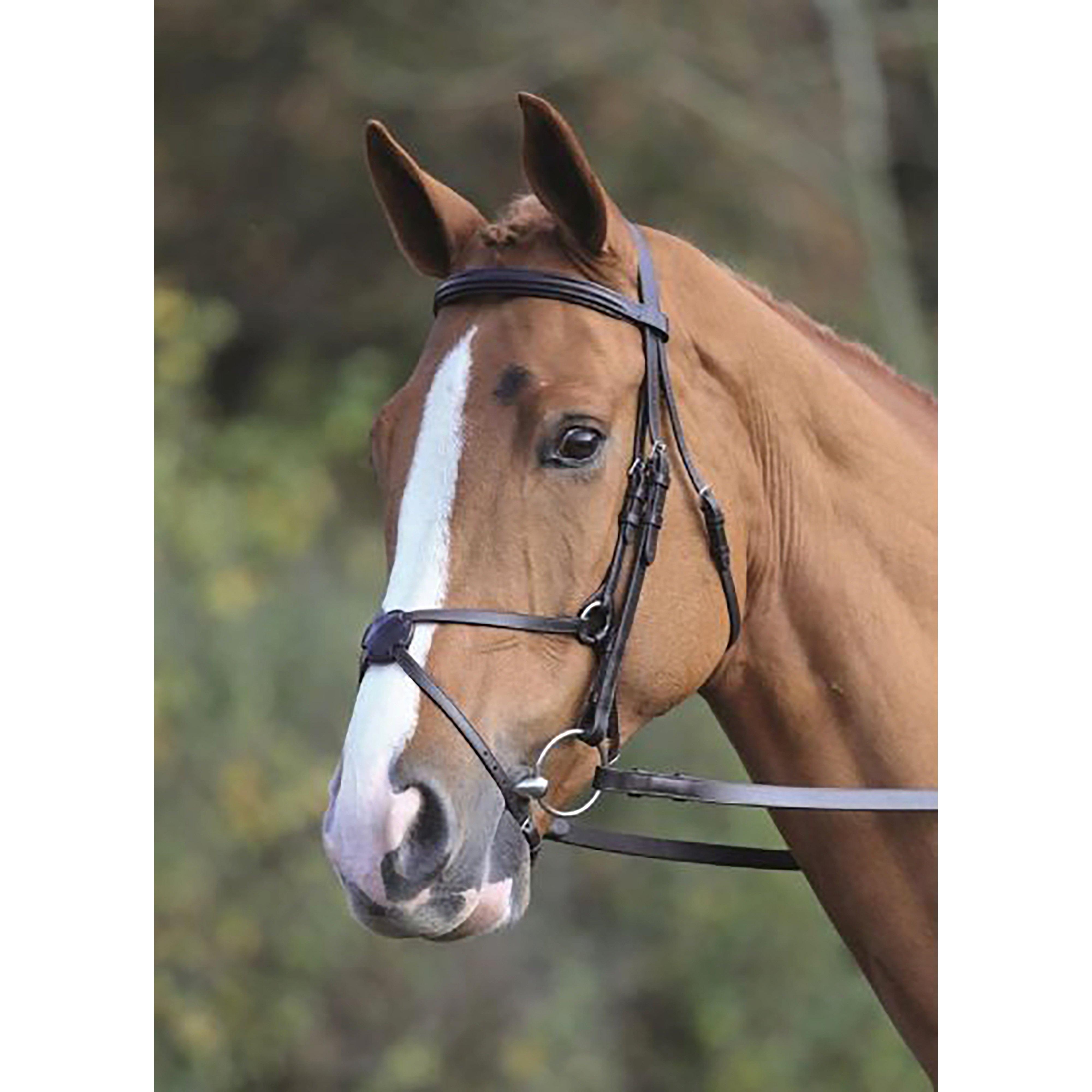 Mexican Bridle