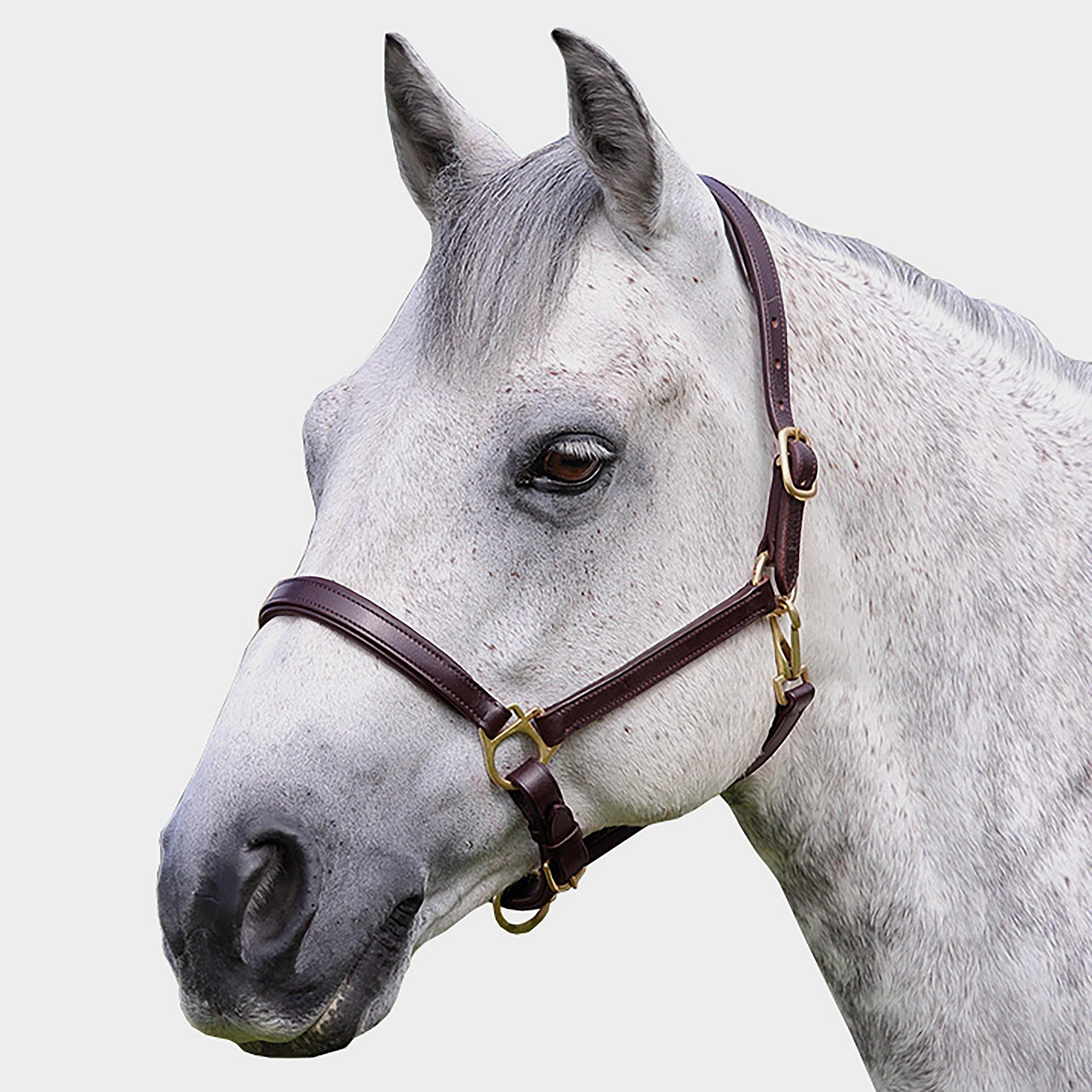 Ragley Leather Headcollar Brown