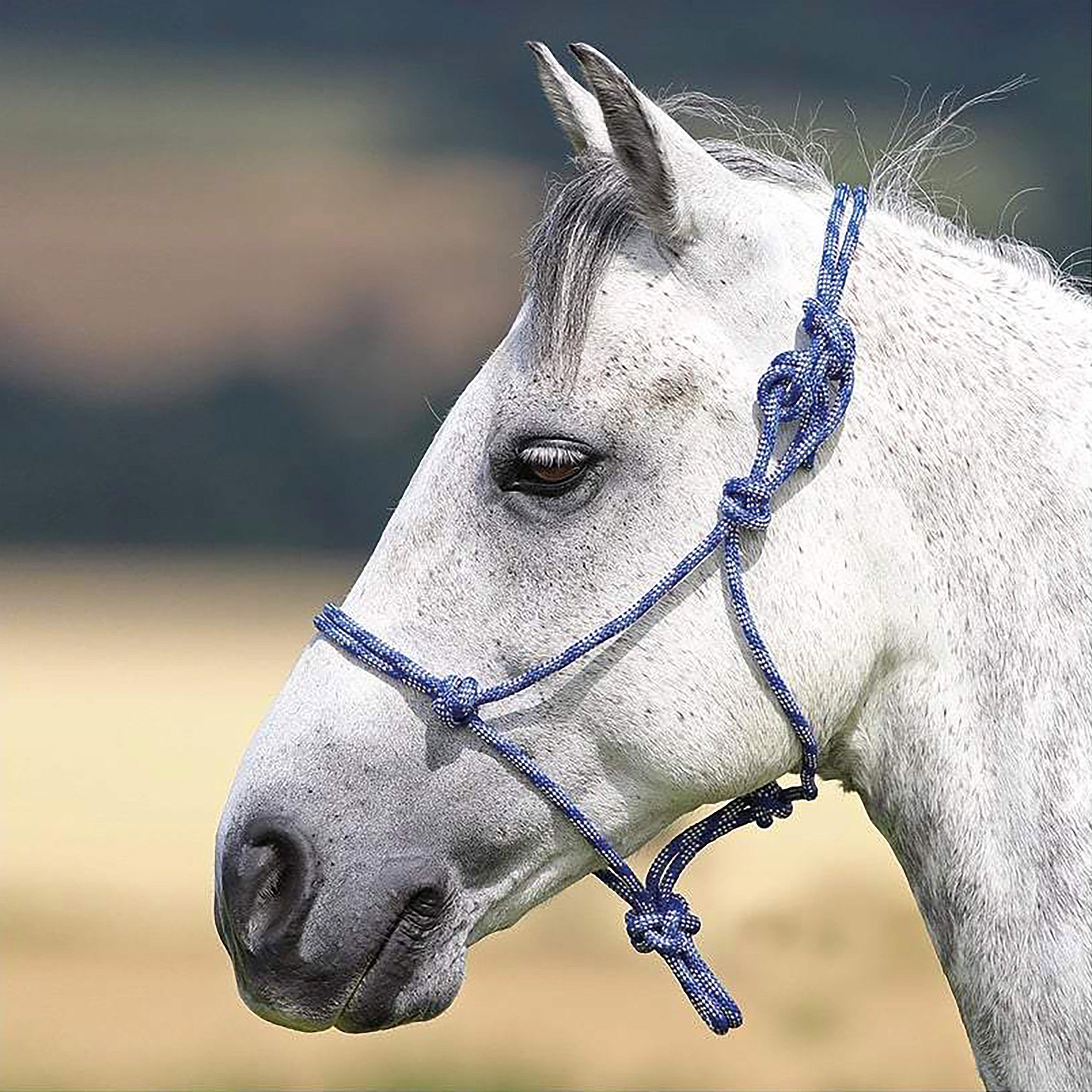 Adjustable Rope Halter