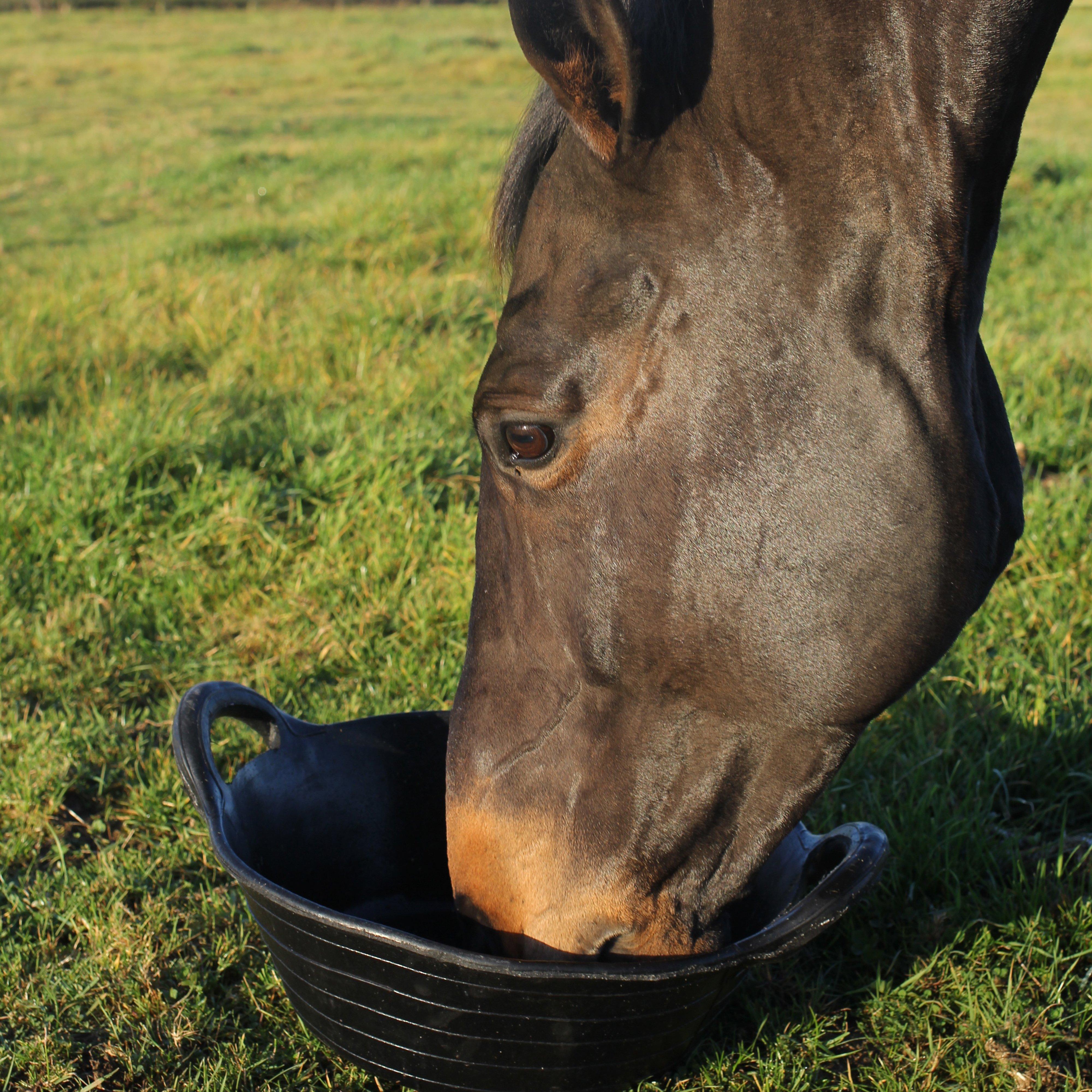 Tyre Rubber Feed Skips