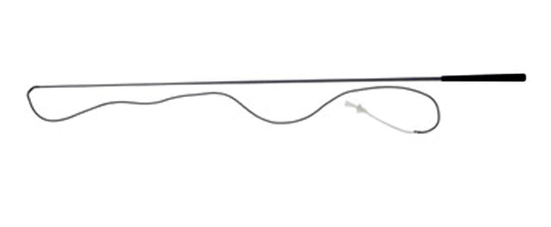 L unging Whip Black