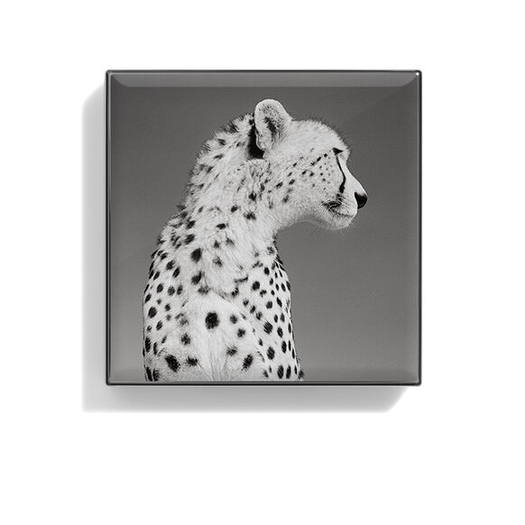 Chantecaille<br>Luminescent Eye Shade