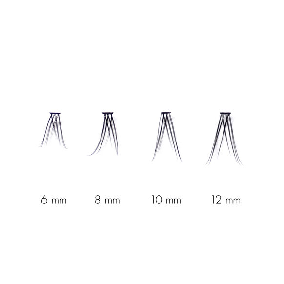 Sweed<br>The Signature No Lash Lash