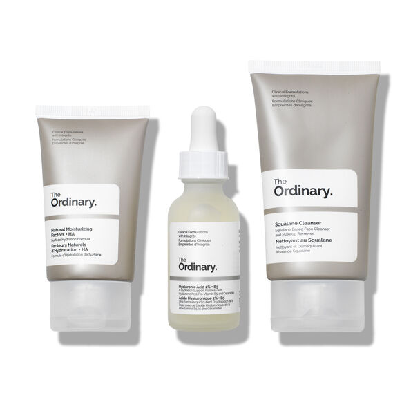 The Ordinary<br>The Daily Set