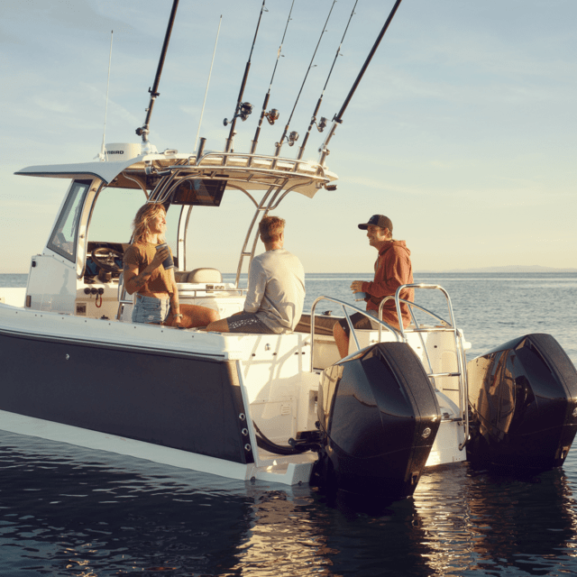 Dometic Optimus 360 Joystick